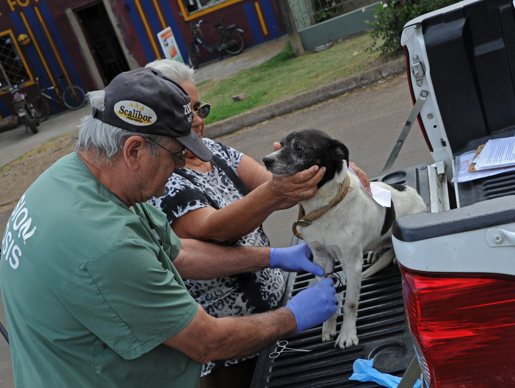 Equipo del Ministerio de Salud Pública y de la Comisión de Zoonosis recorrió varias manzanas del barrio Cerro en la ciudad de Salto