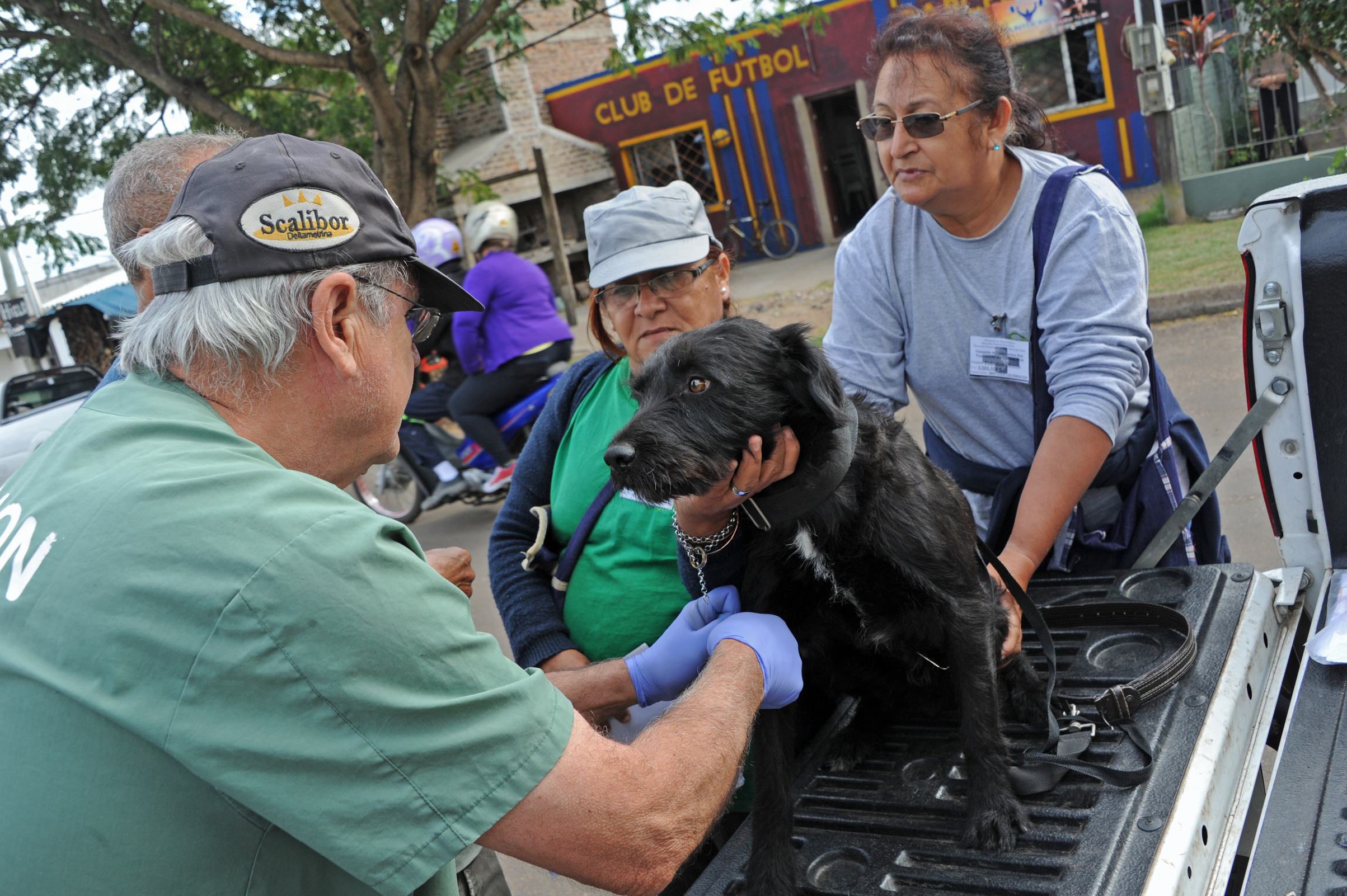 Equipo del Ministerio de Salud Pública y de la Comisión de Zoonosis recorrió varias manzanas del barrio Cerro en la ciudad de Salto