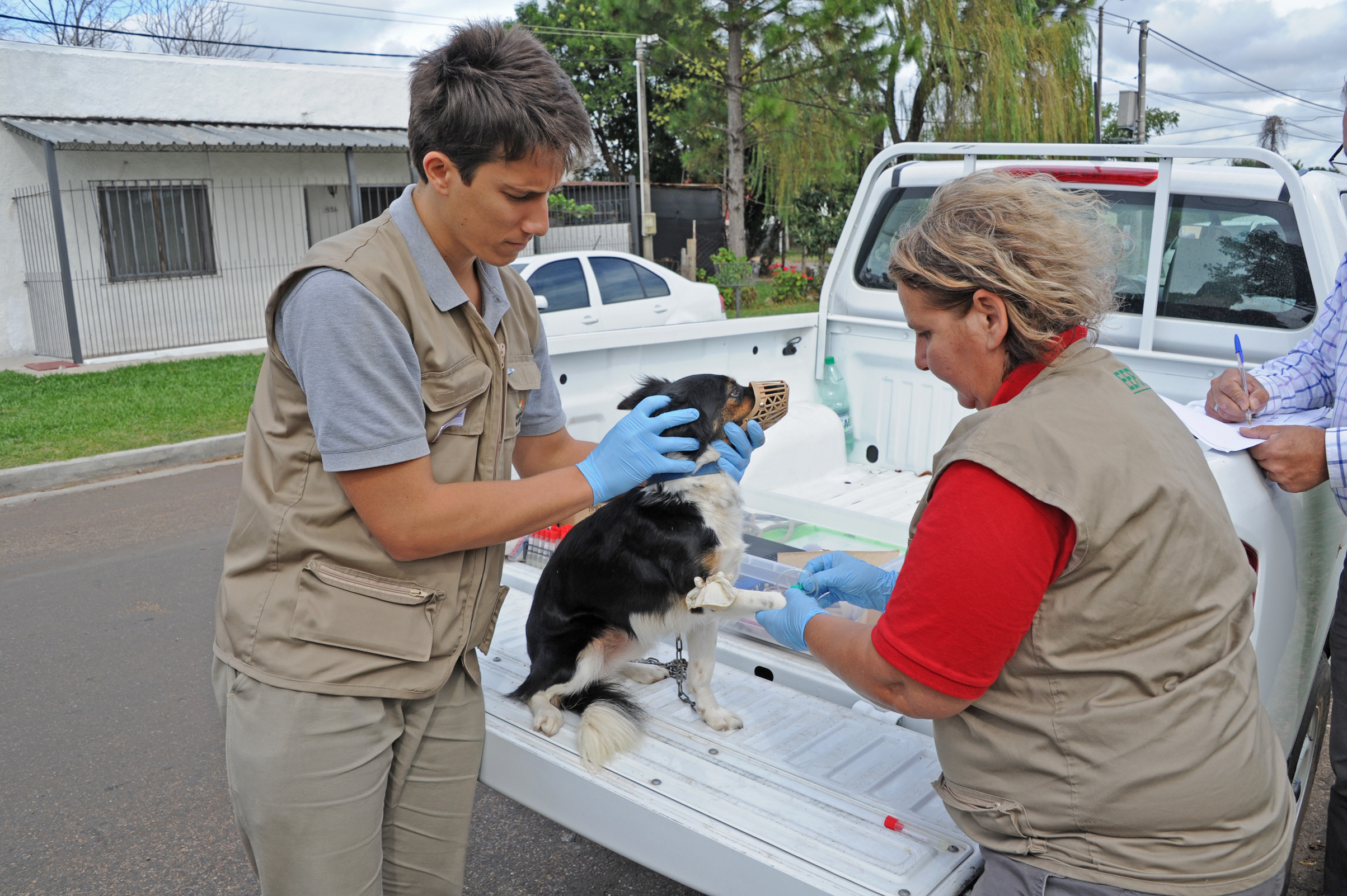Equipo del Ministerio de Salud Pública y de la Comisión de Zoonosis recorrió varias manzanas del barrio Cerro en la ciudad de Salto