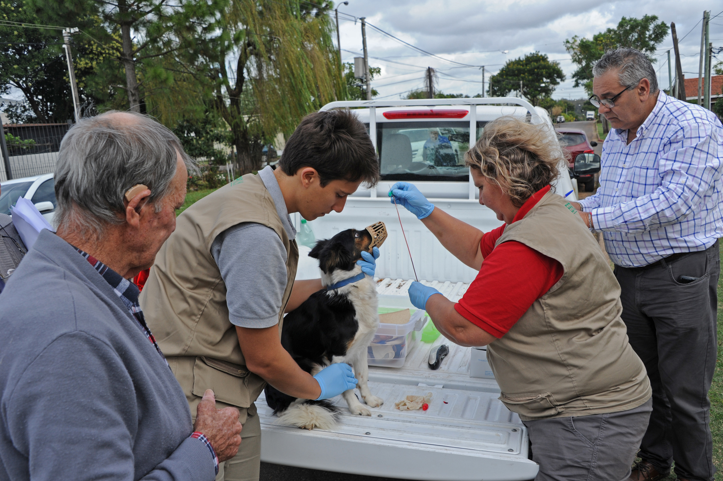 Equipo del Ministerio de Salud Pública y de la Comisión de Zoonosis recorrió varias manzanas del barrio Cerro en la ciudad de Salto