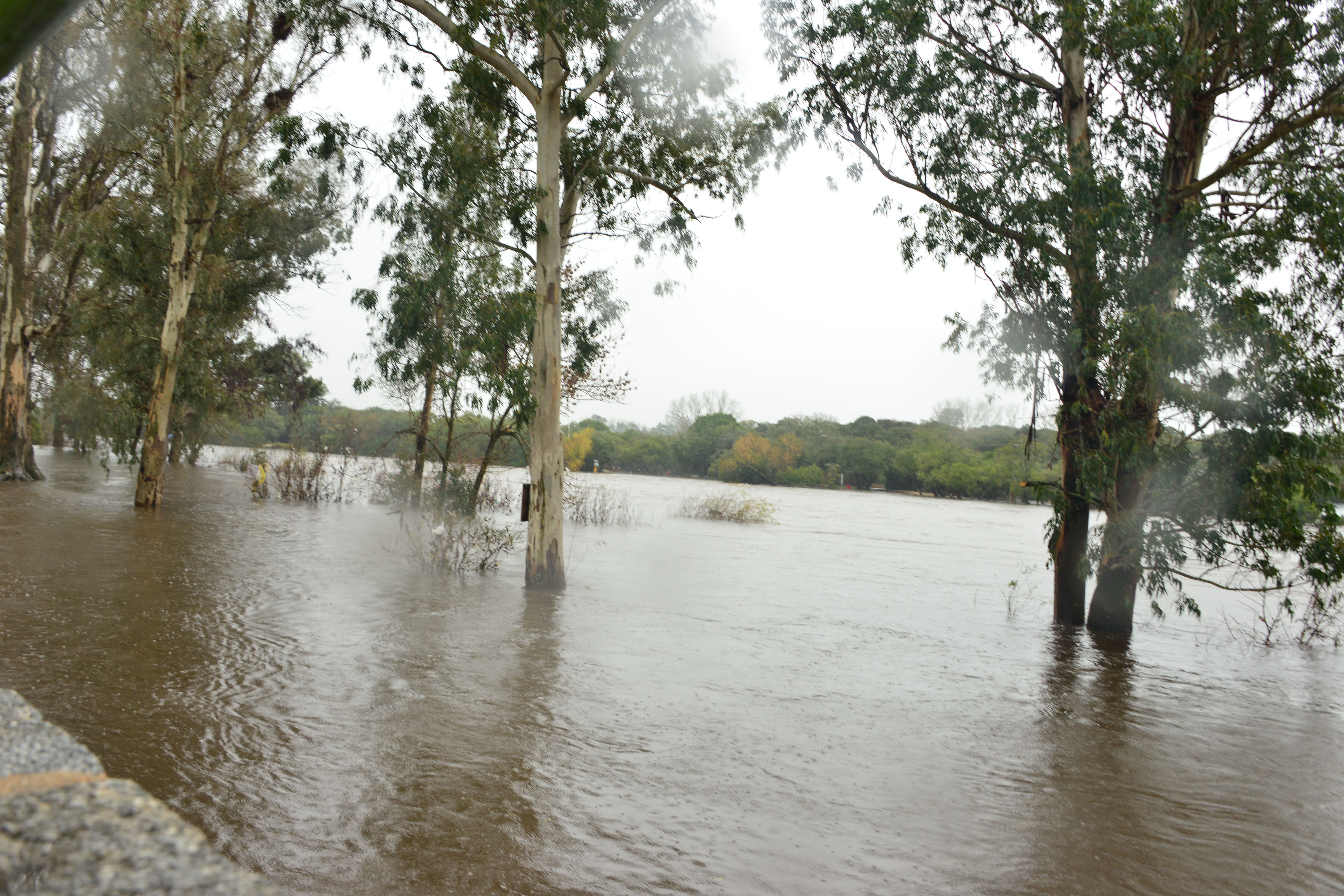 Inundaciones en el departamento de Florida