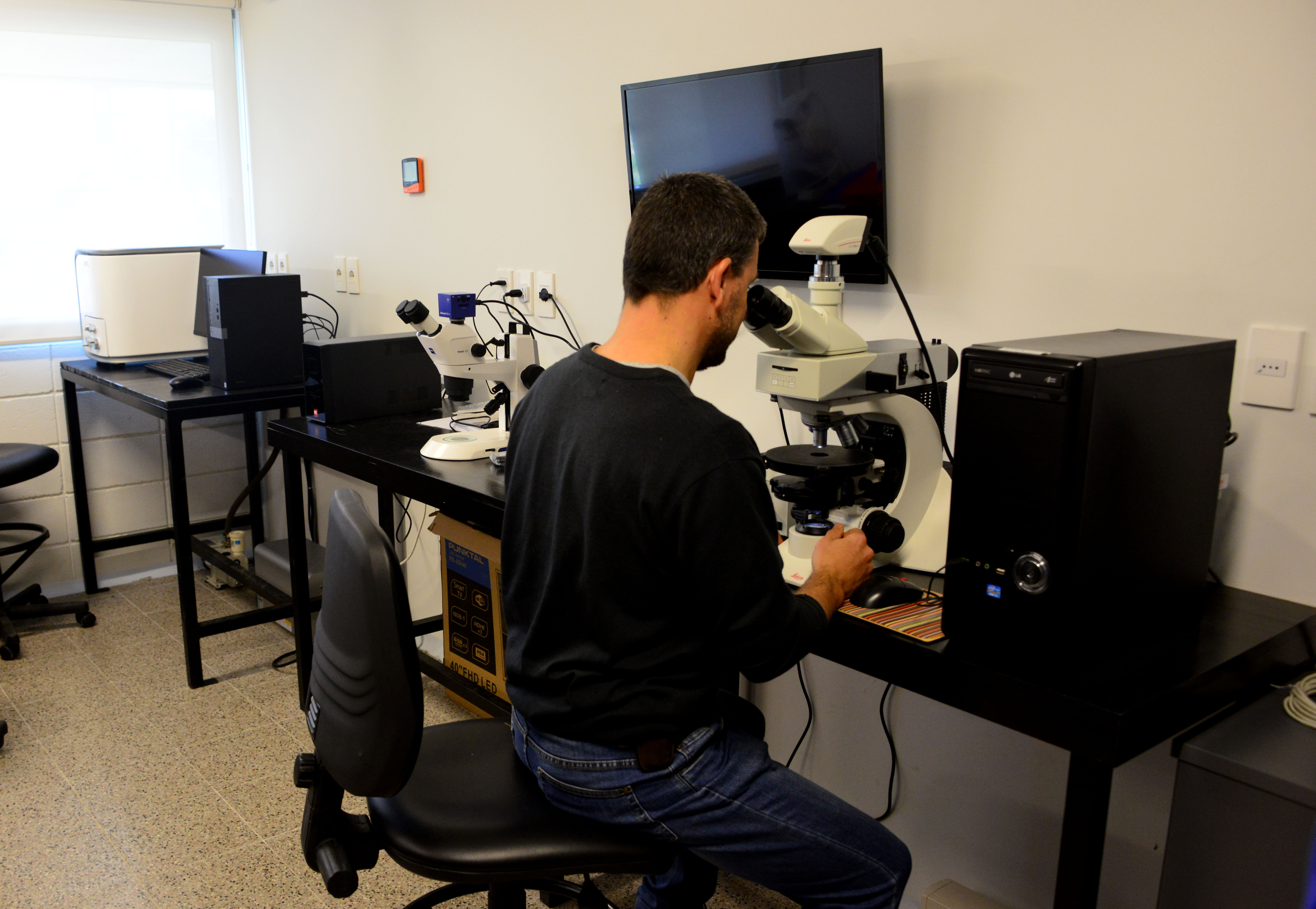 Laboratorios de geología y mineralogía en Treinta y Tres