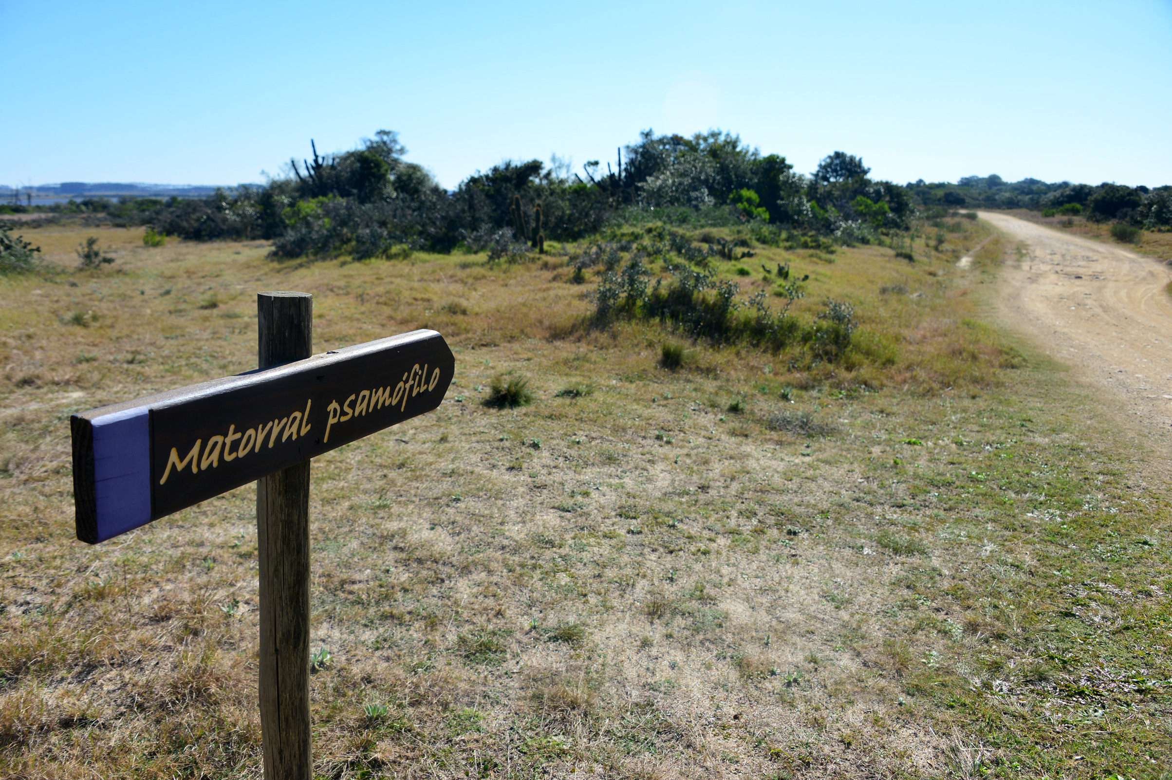 Área protegida Laguna Garzón
