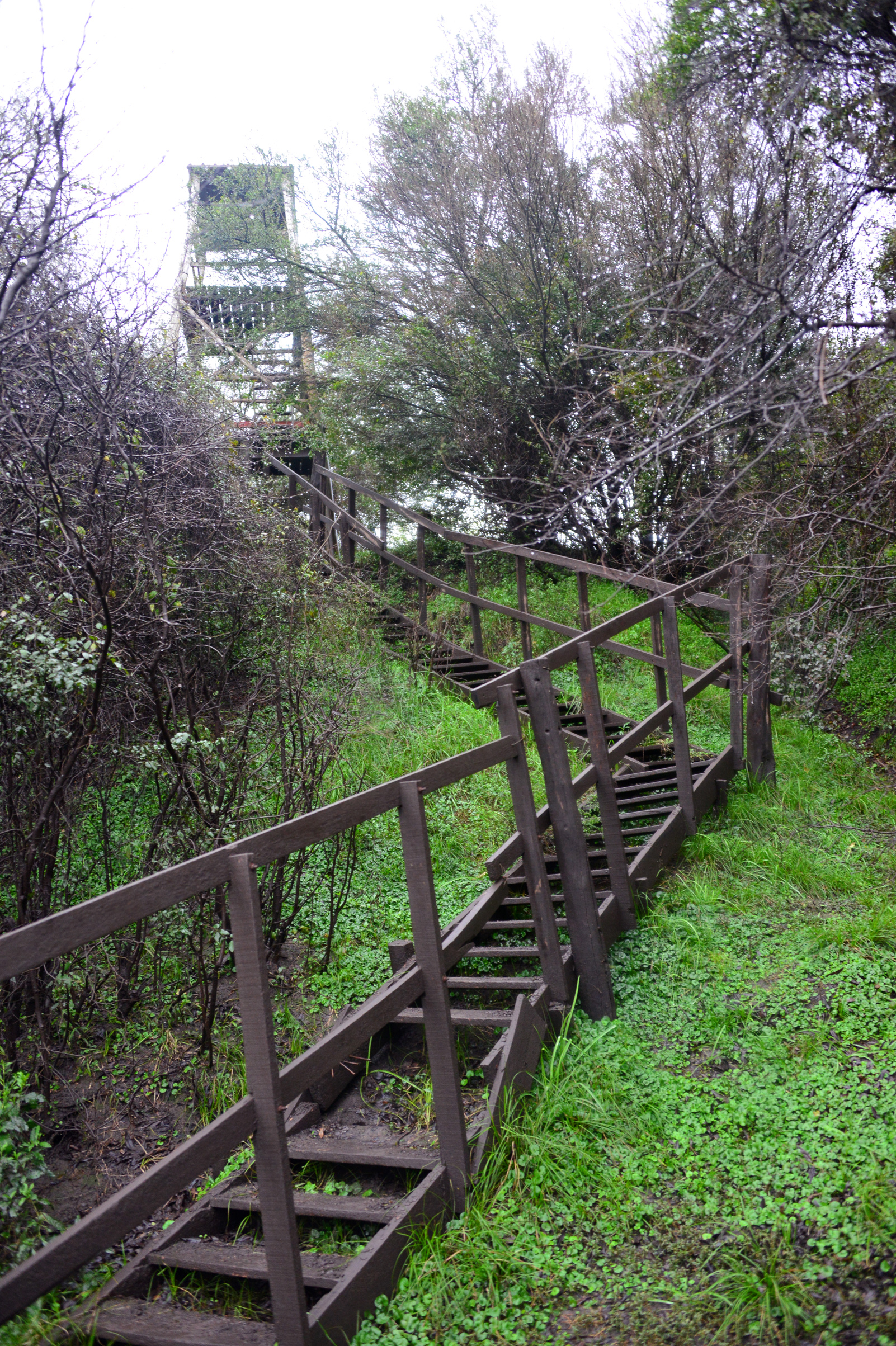 Área protegida Montes del Queguay