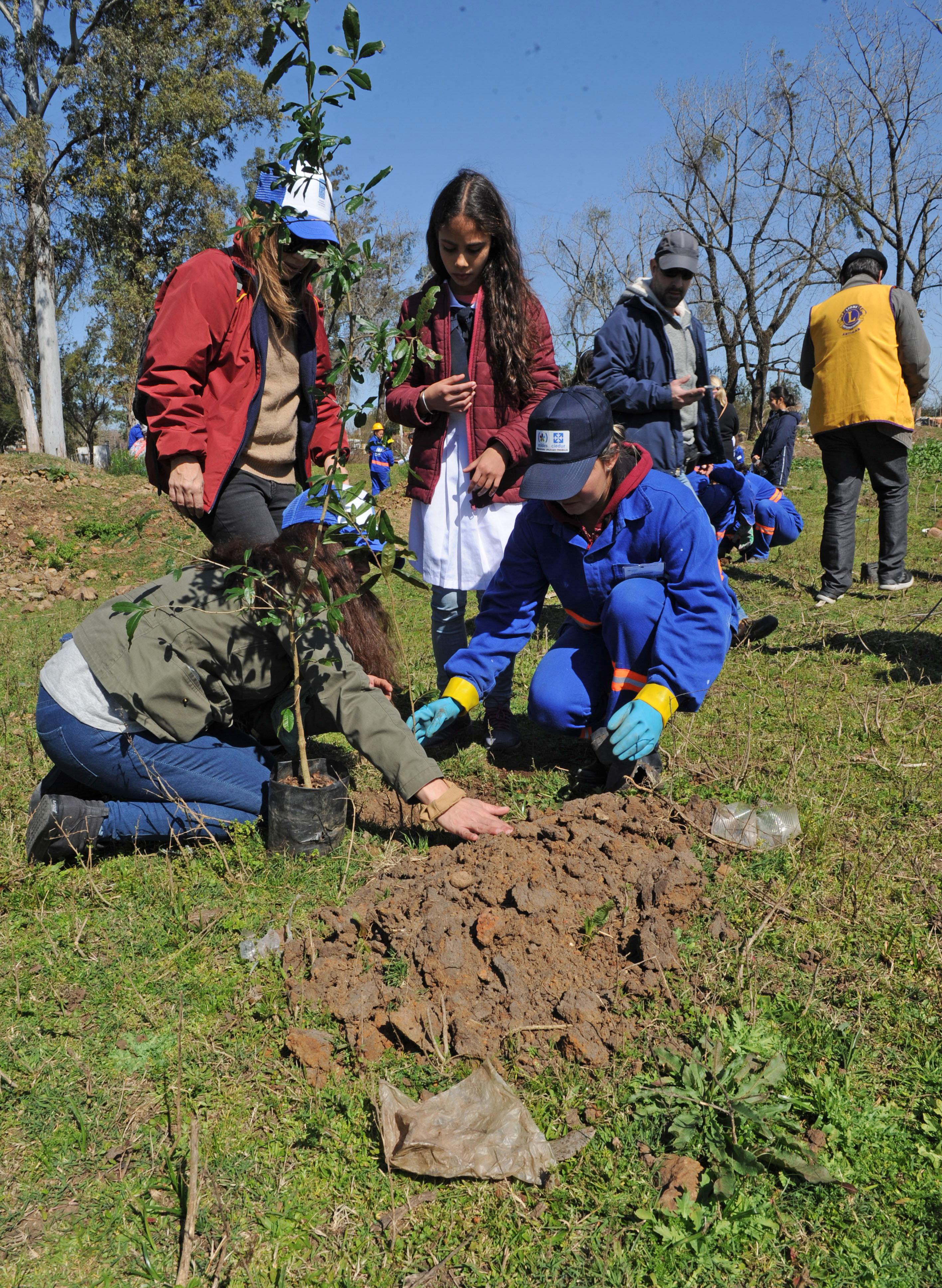 Plantatón Uruguay en Artigas