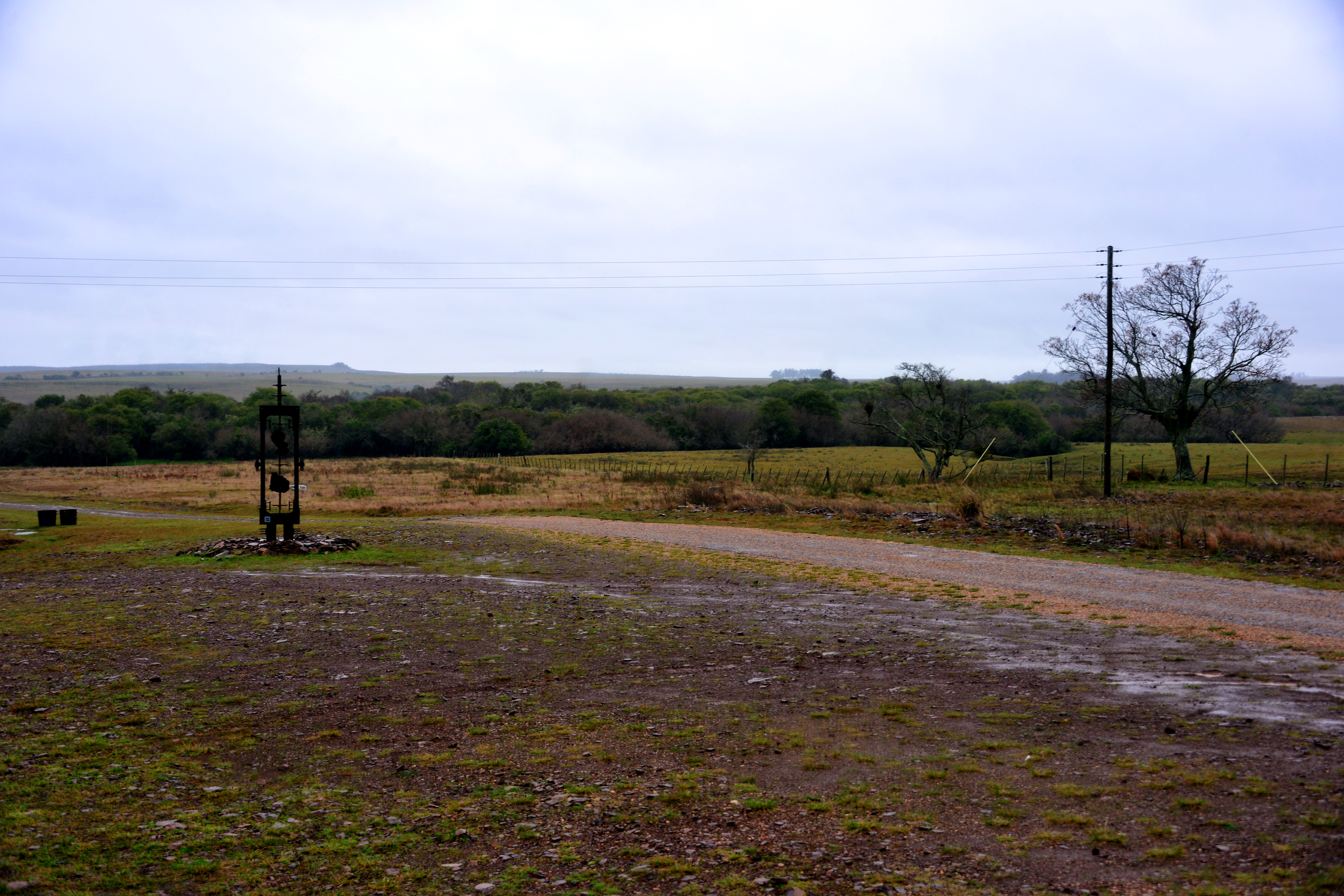 Montes de Queguay