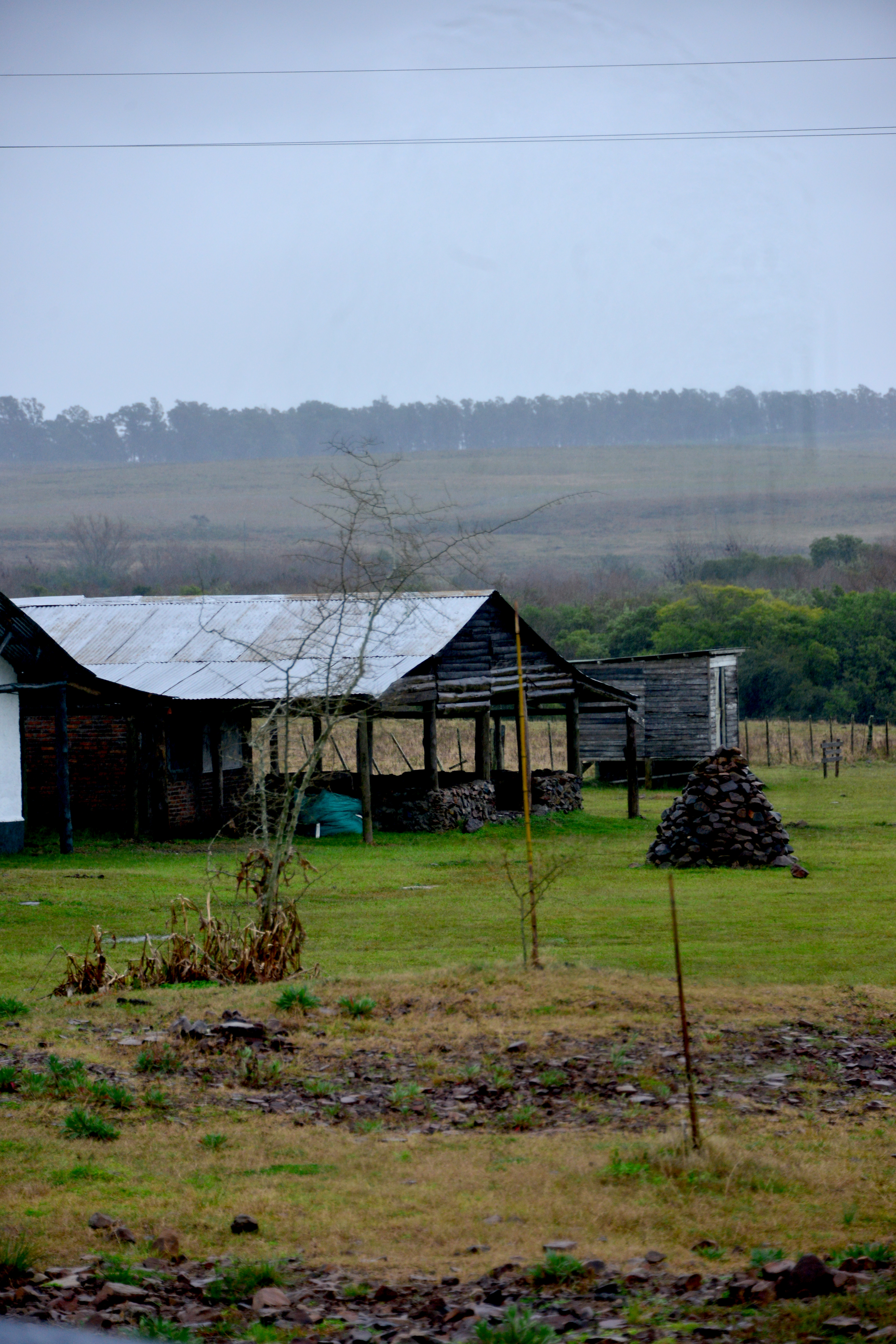 Montes de Queguay