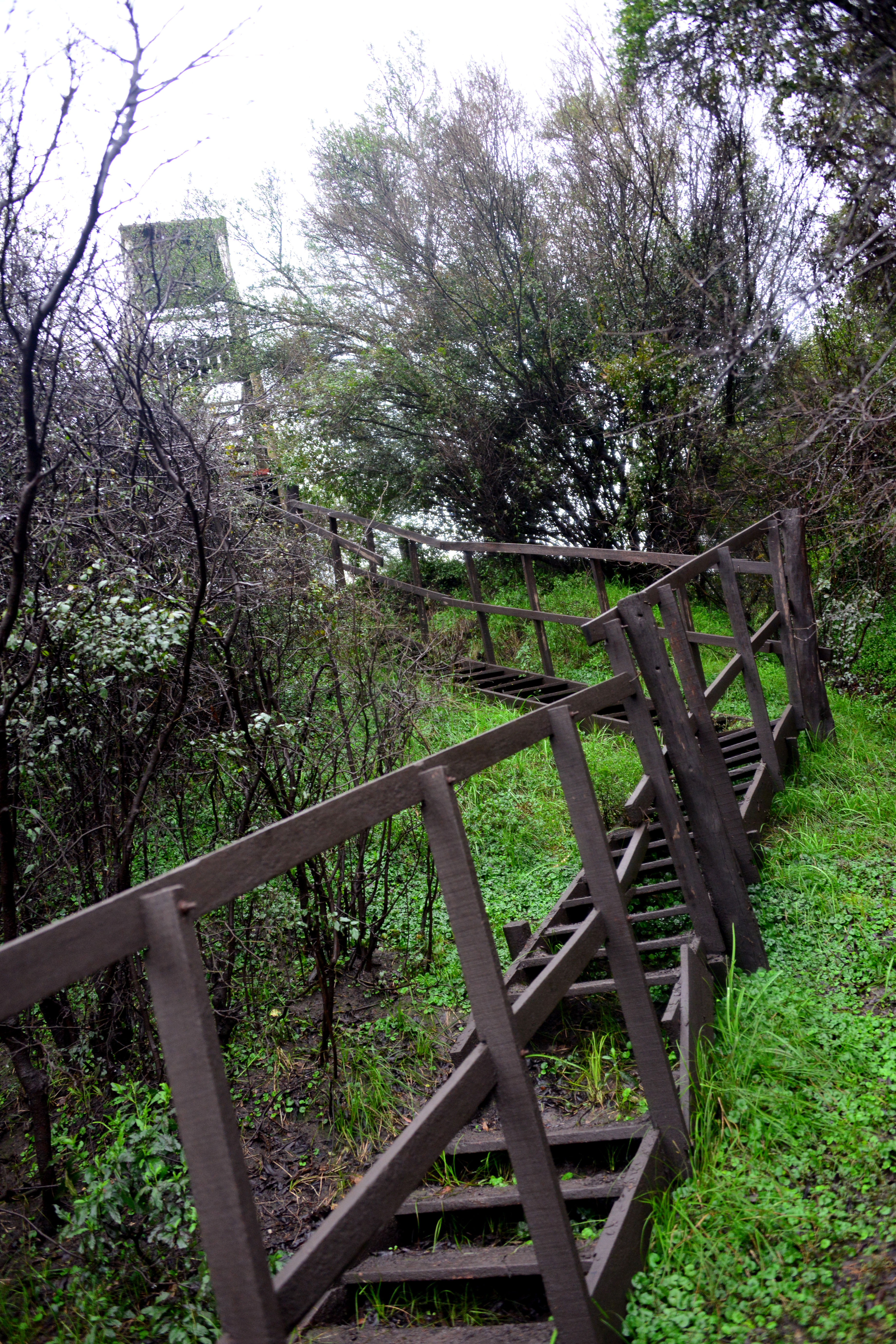 Montes de Queguay