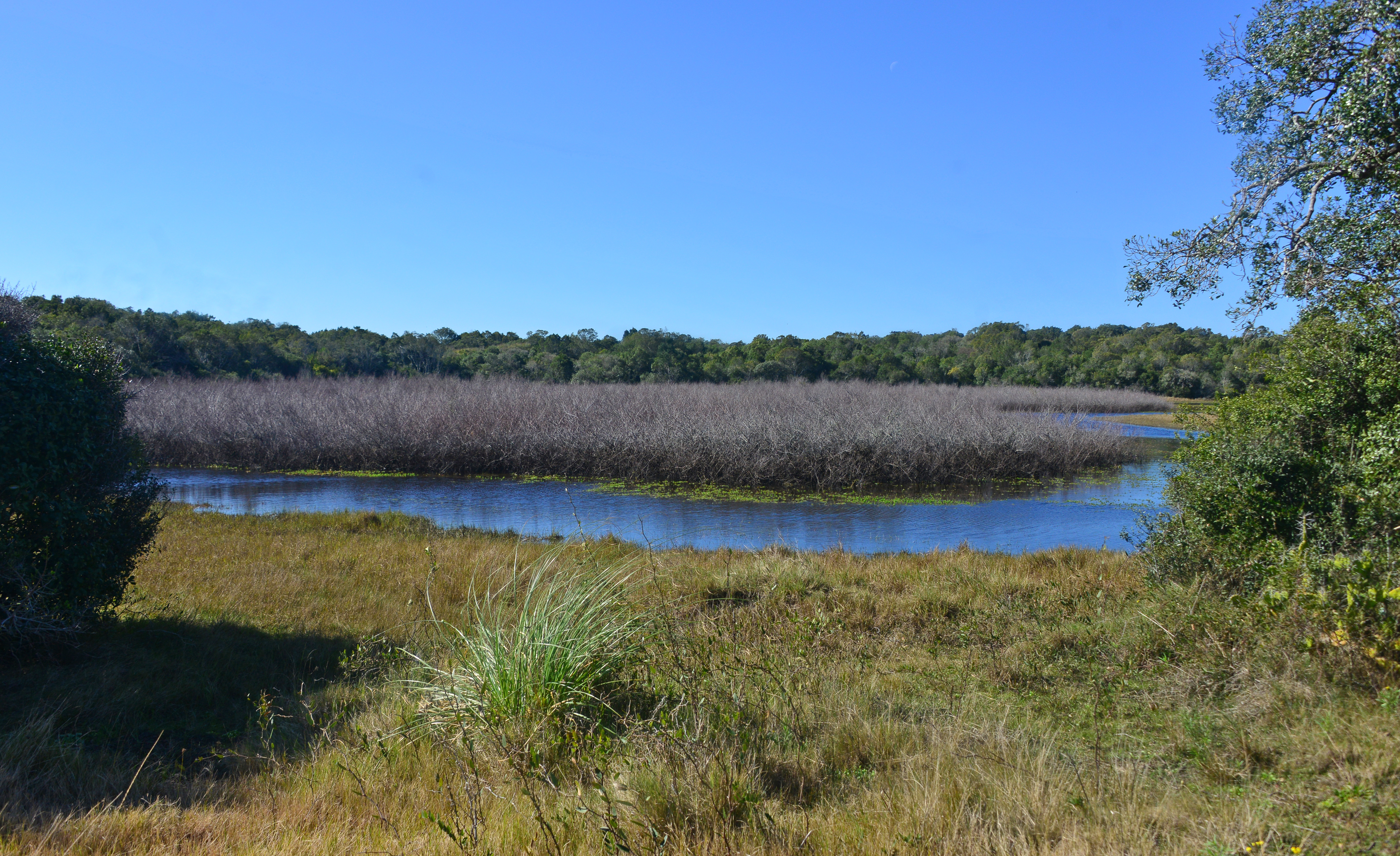 Laguna Garzón