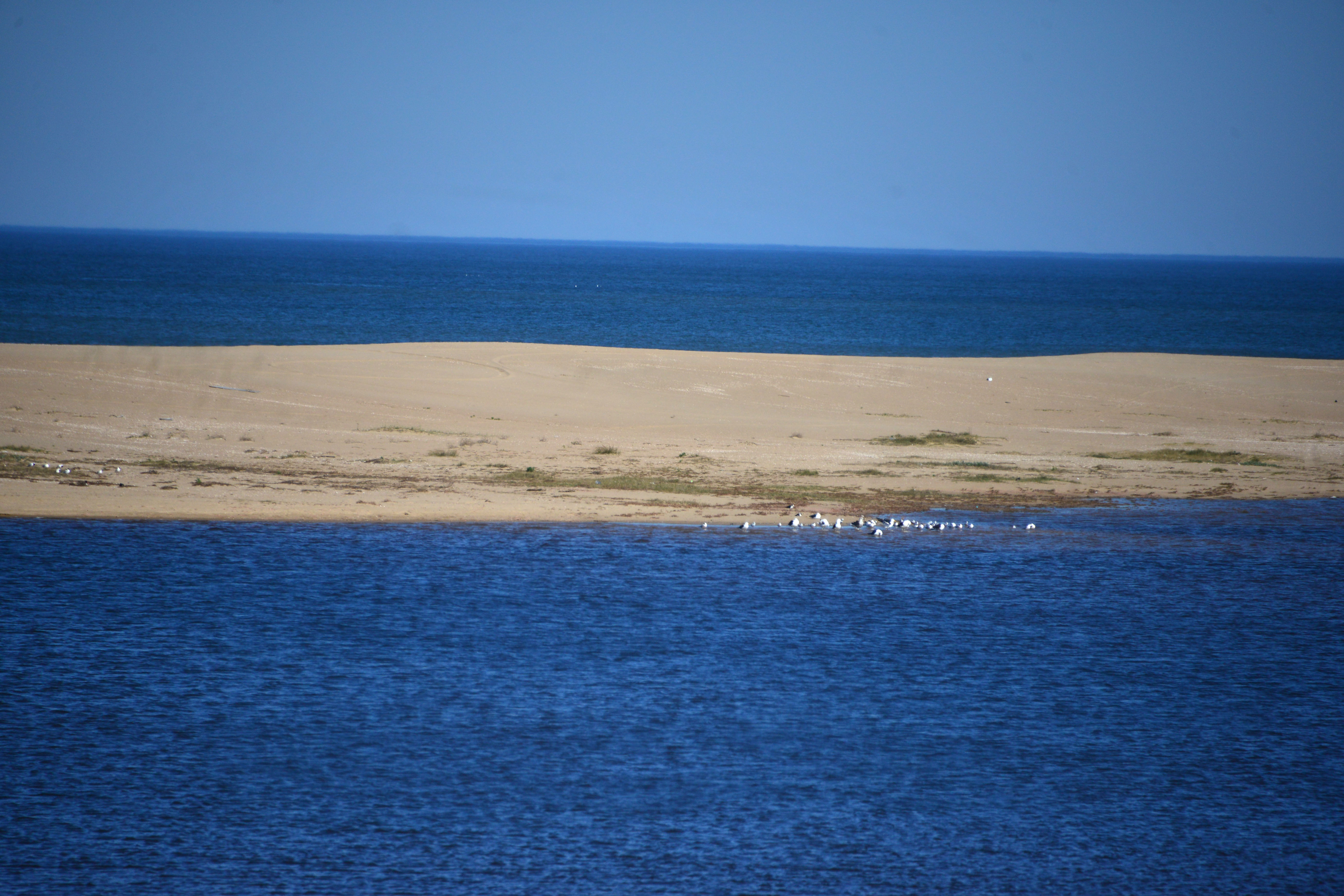 Laguna Garzón