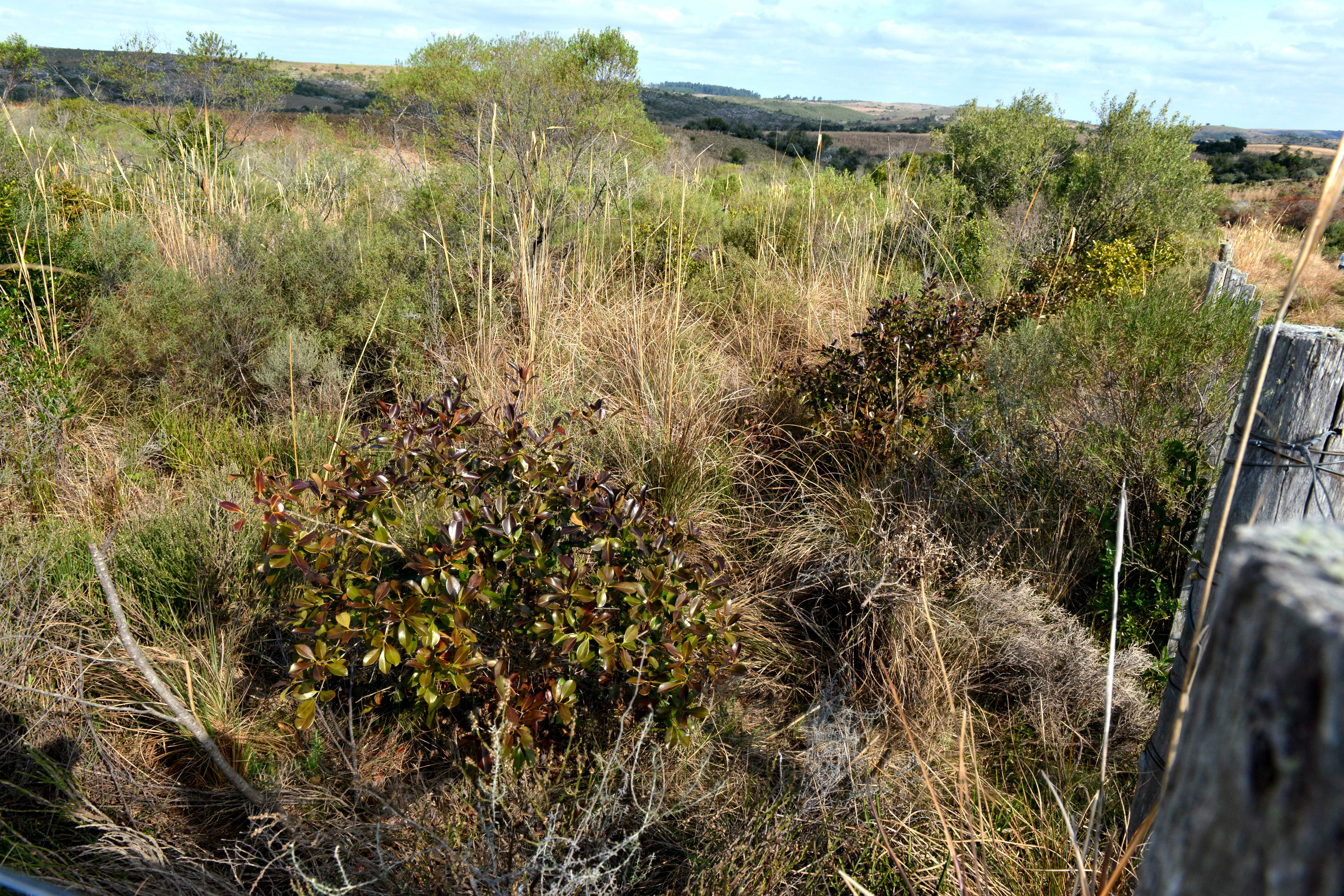Quebrada de los Cuervos