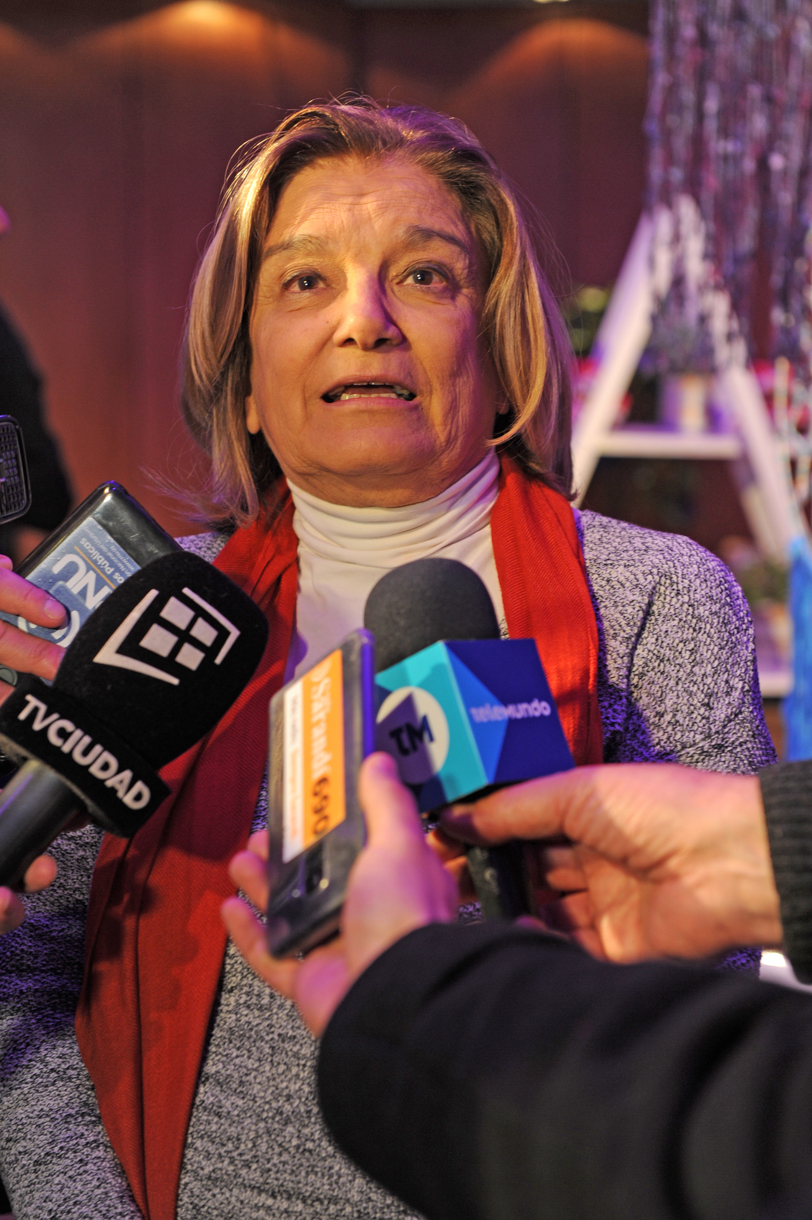 Ministra de Vivienda, Eneida de León