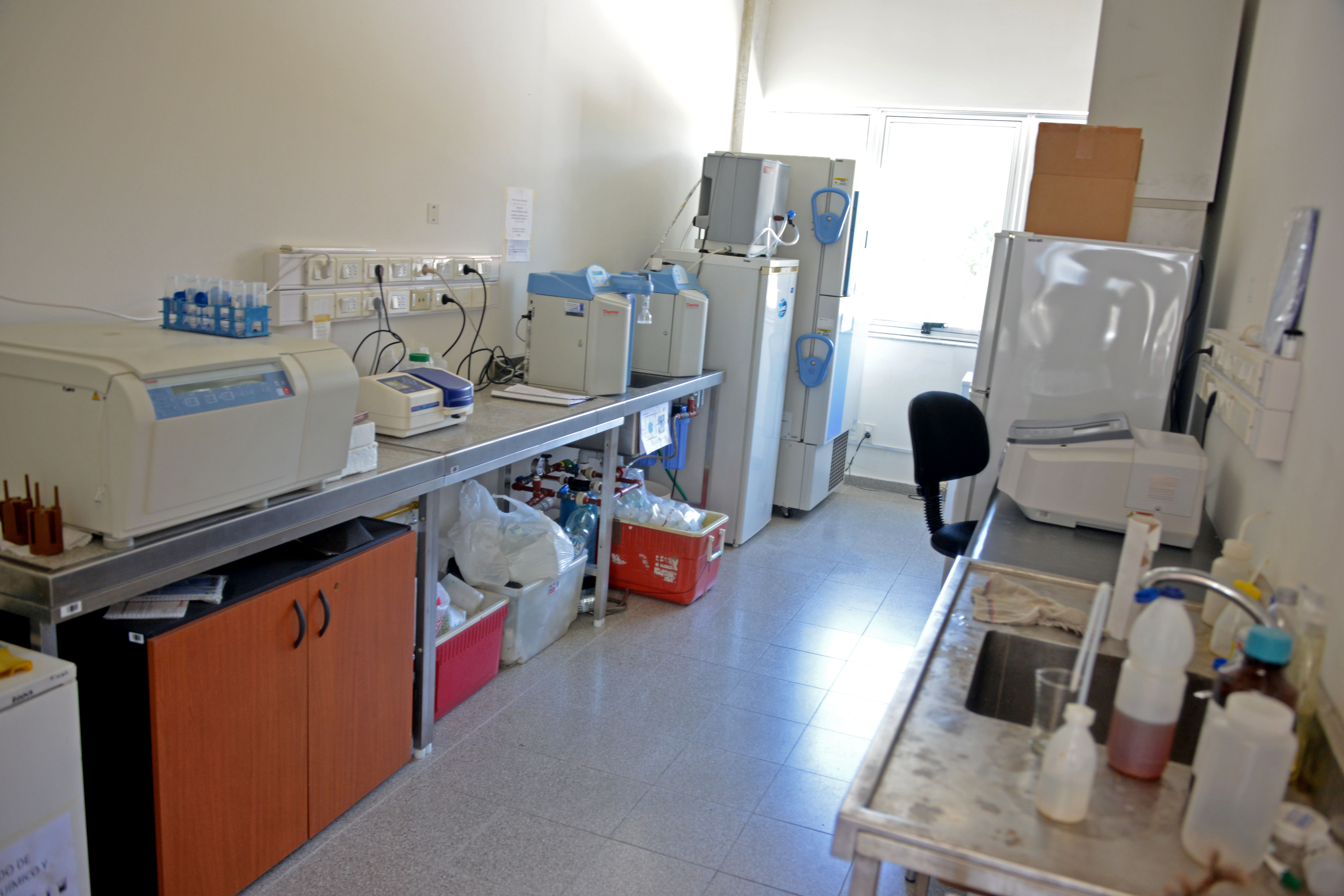 Centro Universitario Regional Este (CURE), Maldonado