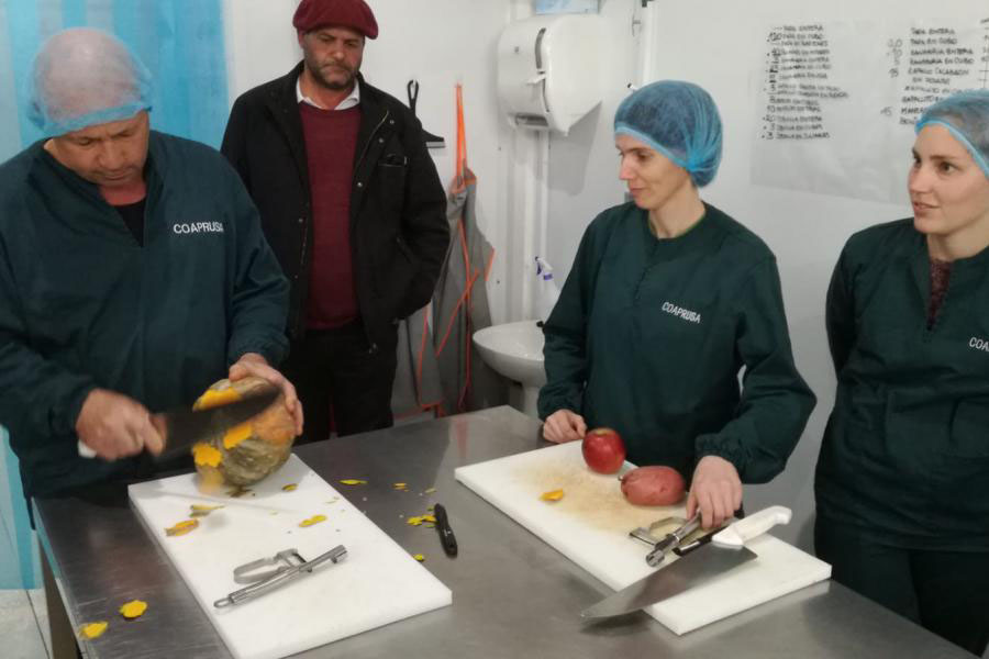 Visita de autoridades a cooperativa de productores de San Antonio, Canelones