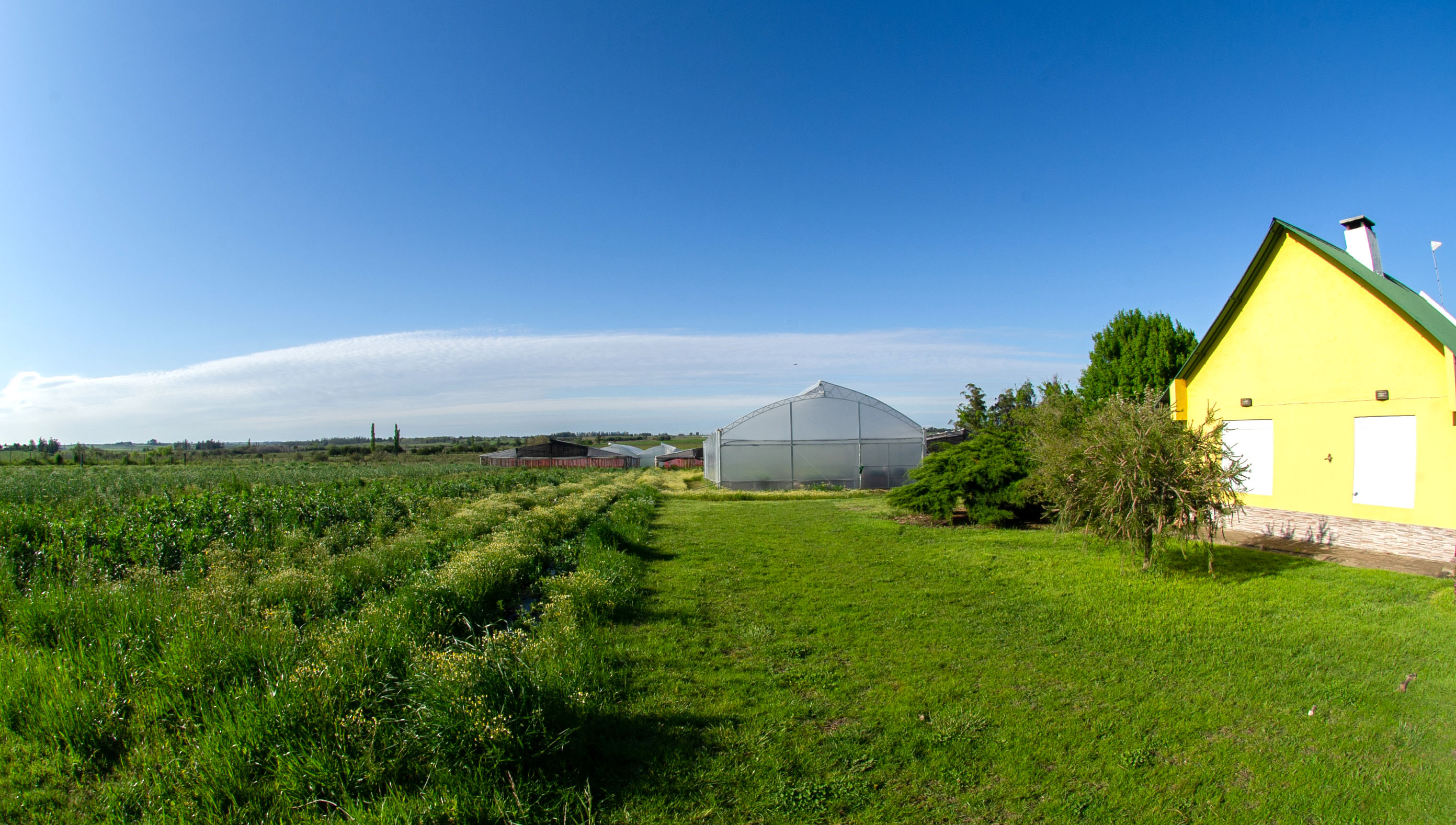 Biofábrica de la Cooperativa Agraria Punto Verde y de Batoví Instituto Orgánico-Uruguay, San Bautista, Canelones