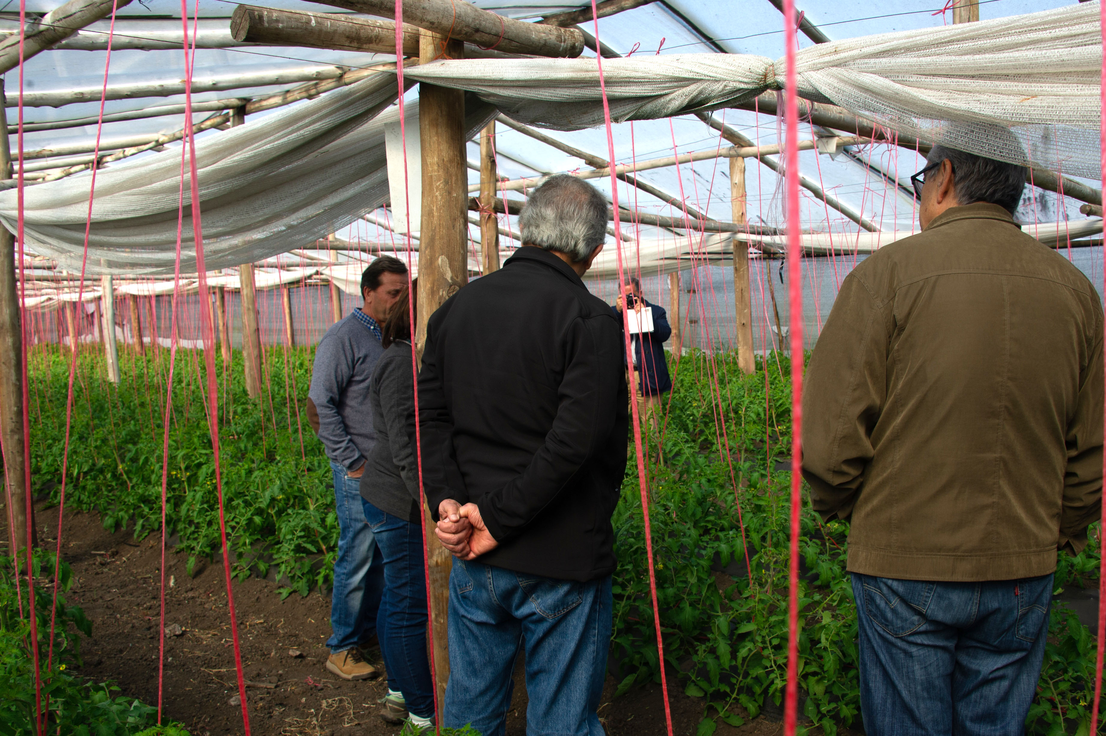 Ministro Enzo Benech visita una cooperativa agraria de productores de Canelones