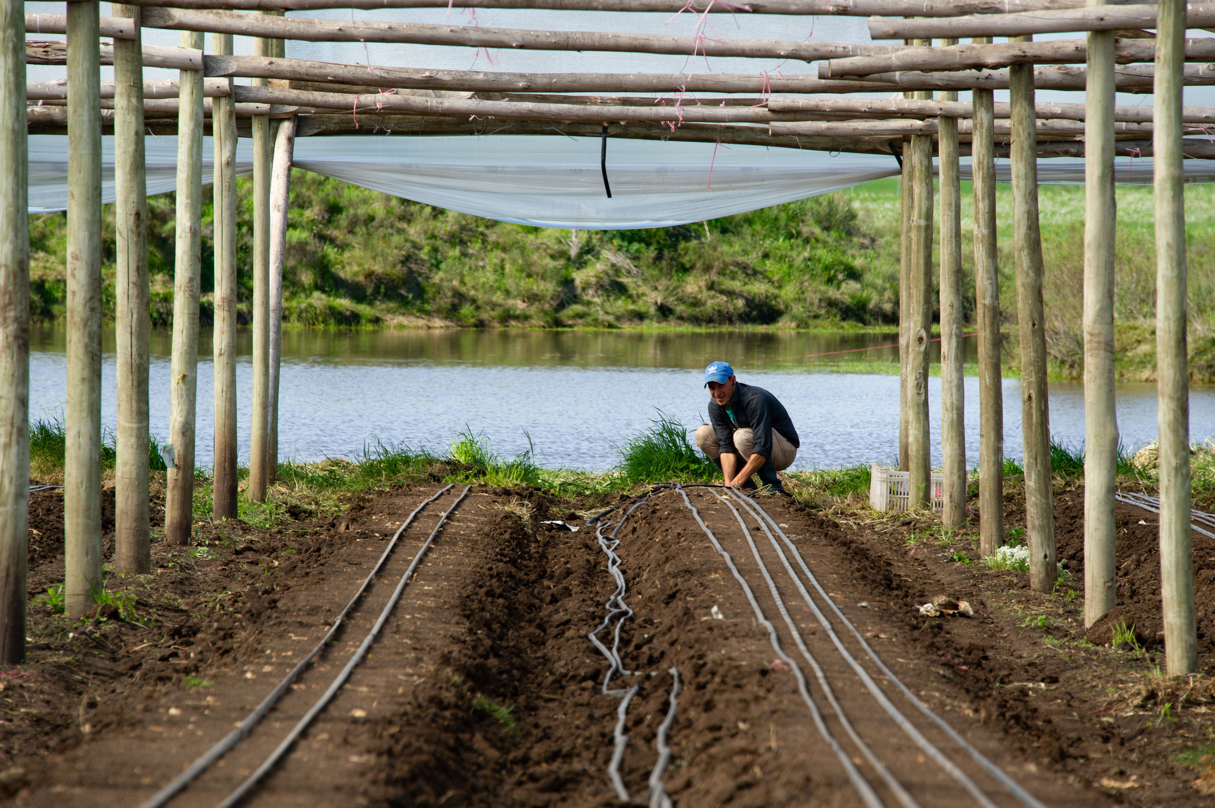Ministro Enzo Benech visita una cooperativa agraria de productores de Canelones