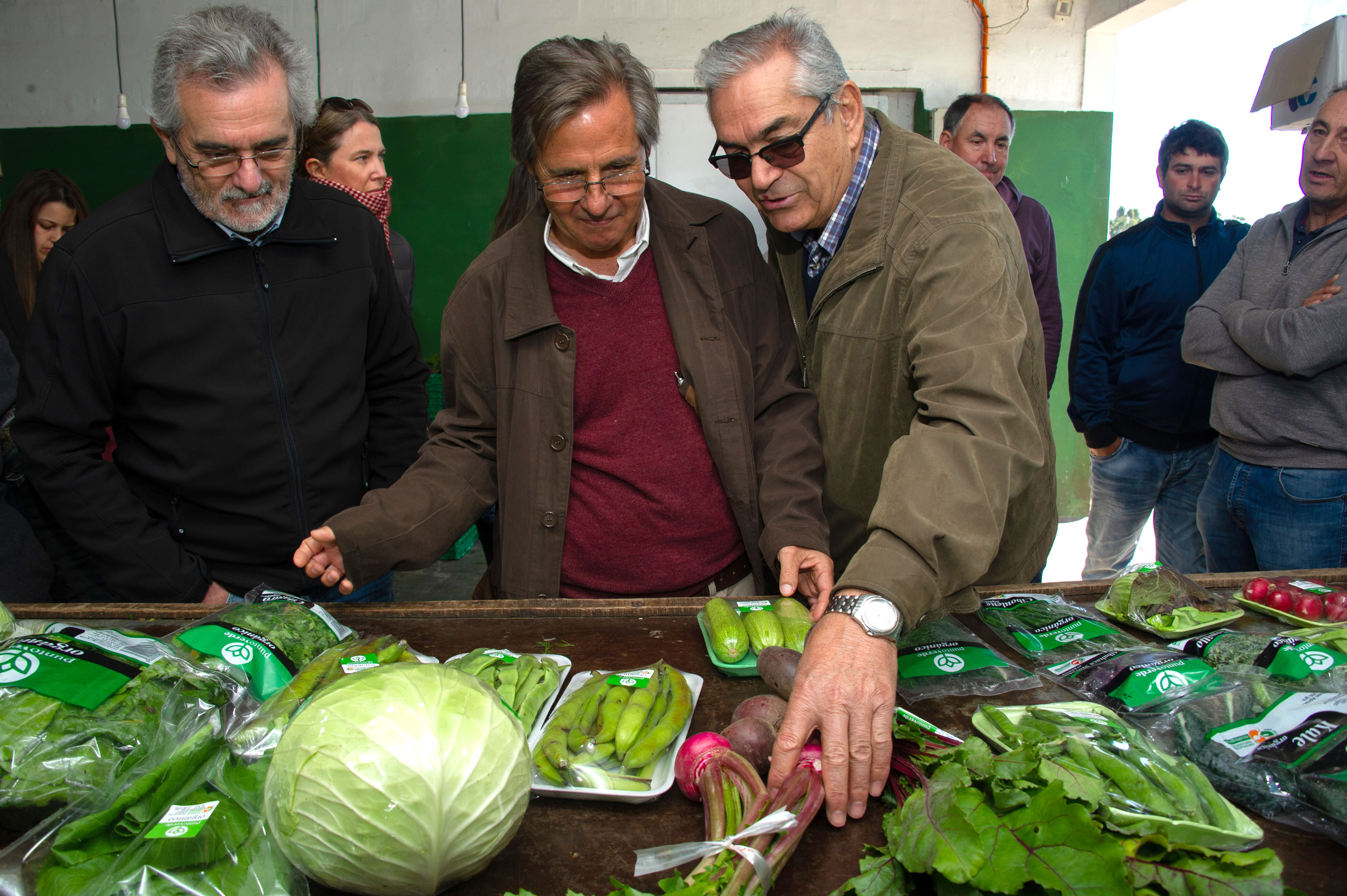 Ministro Enzo Benech visita una cooperativa agraria de productores de Canelones