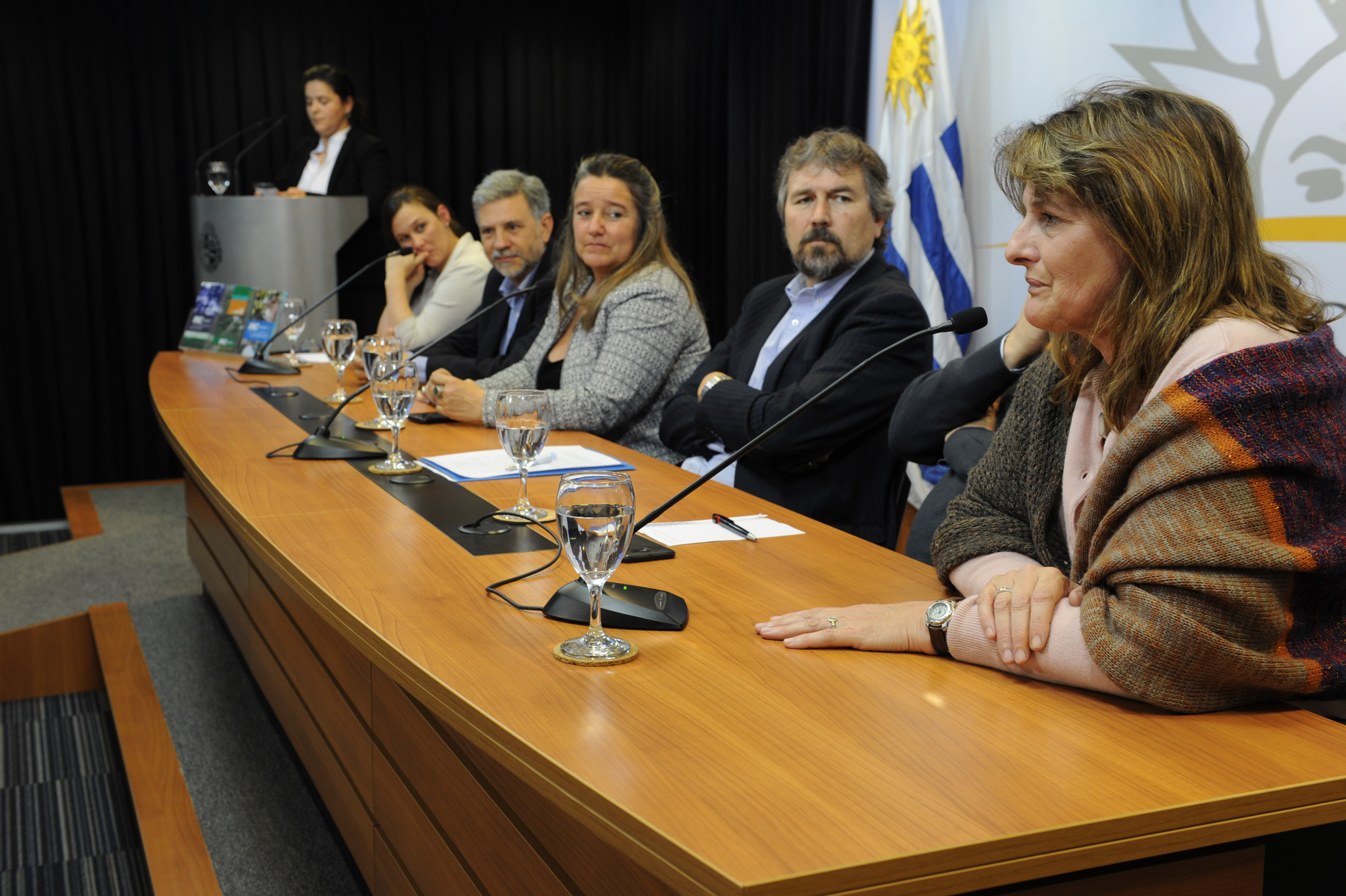Presentación de visor geográfico de Colonización
