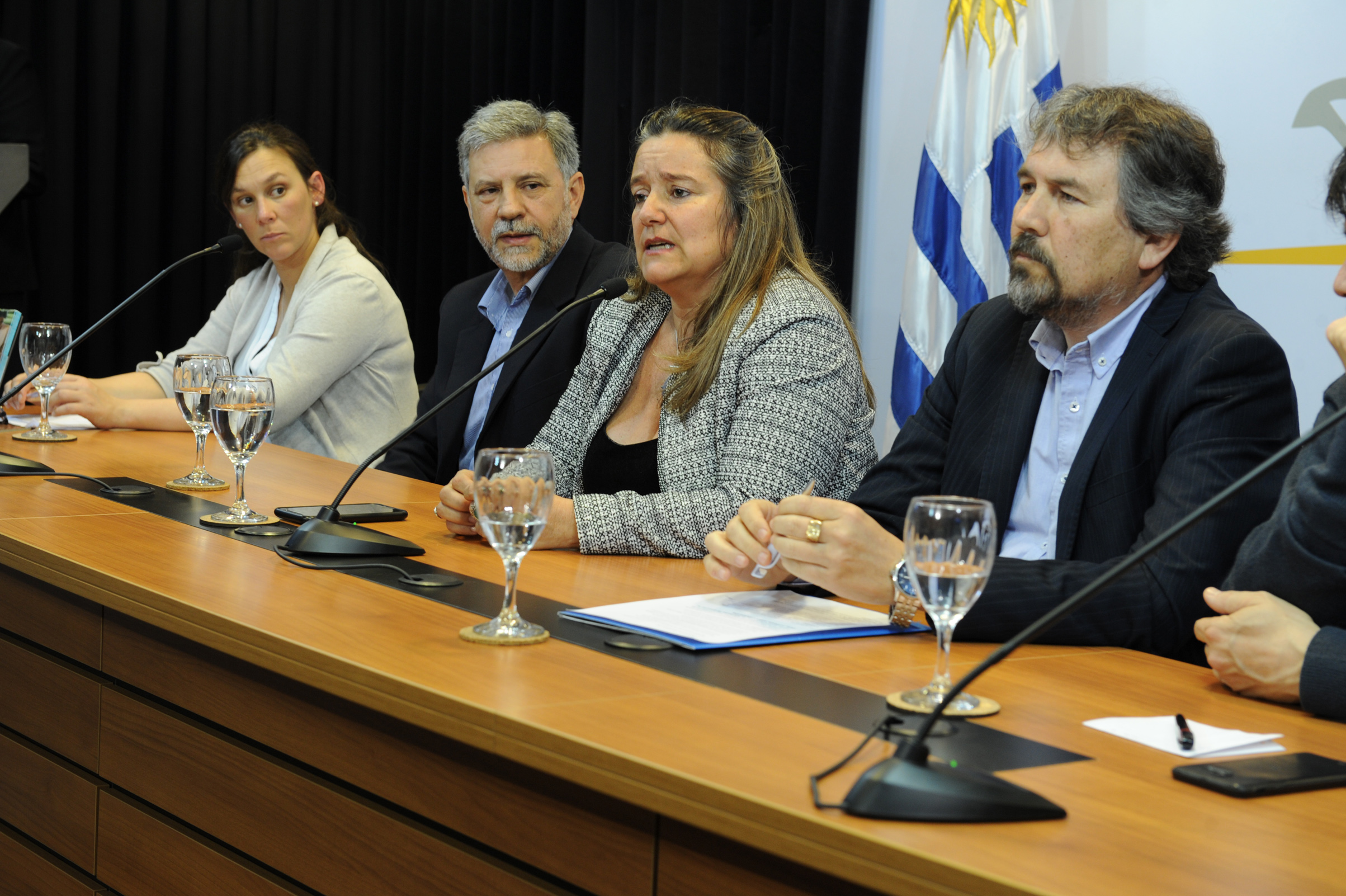 Presentación de visor geográfico de Colonización