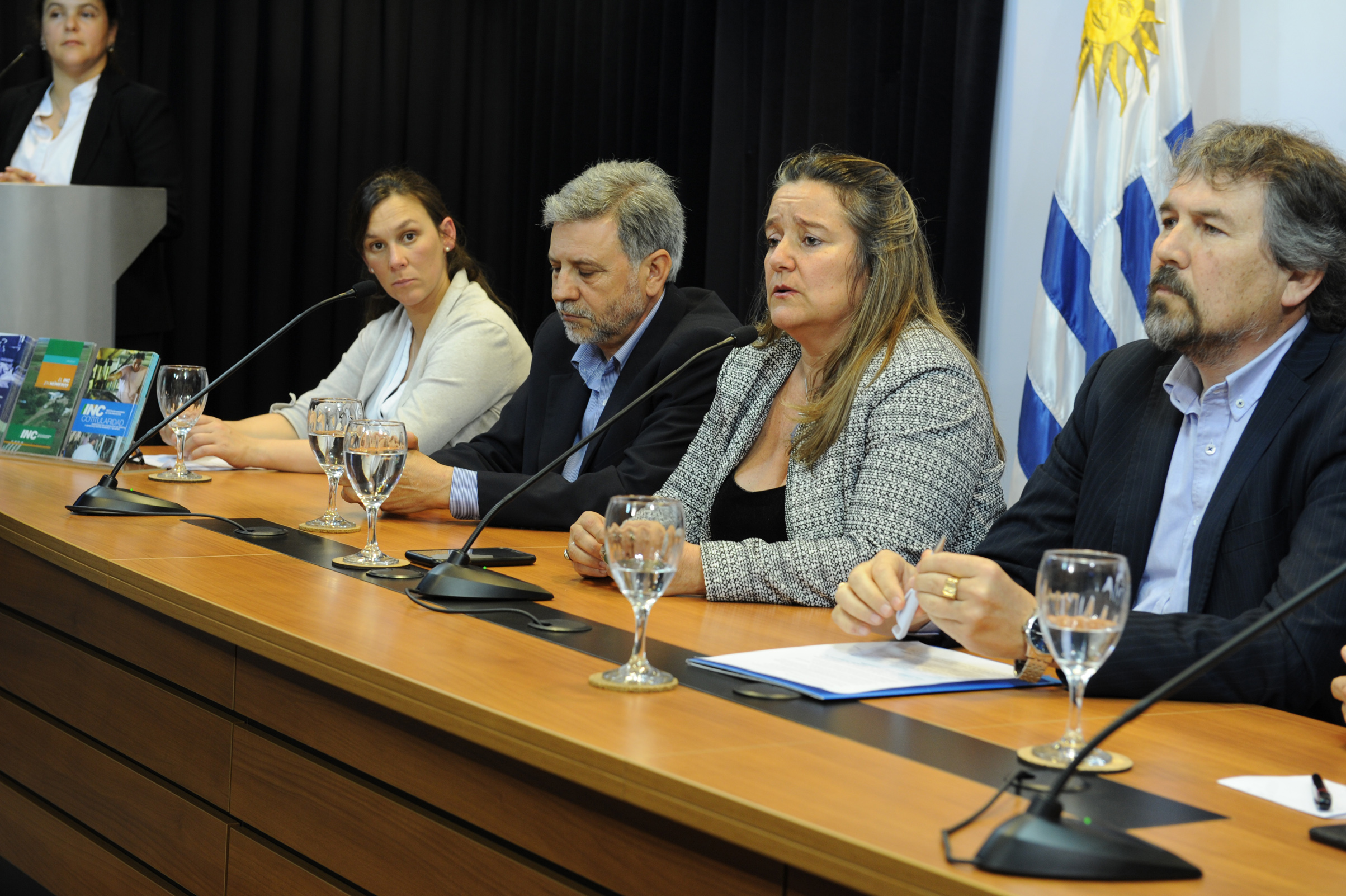 Presentación de visor geográfico de Colonización