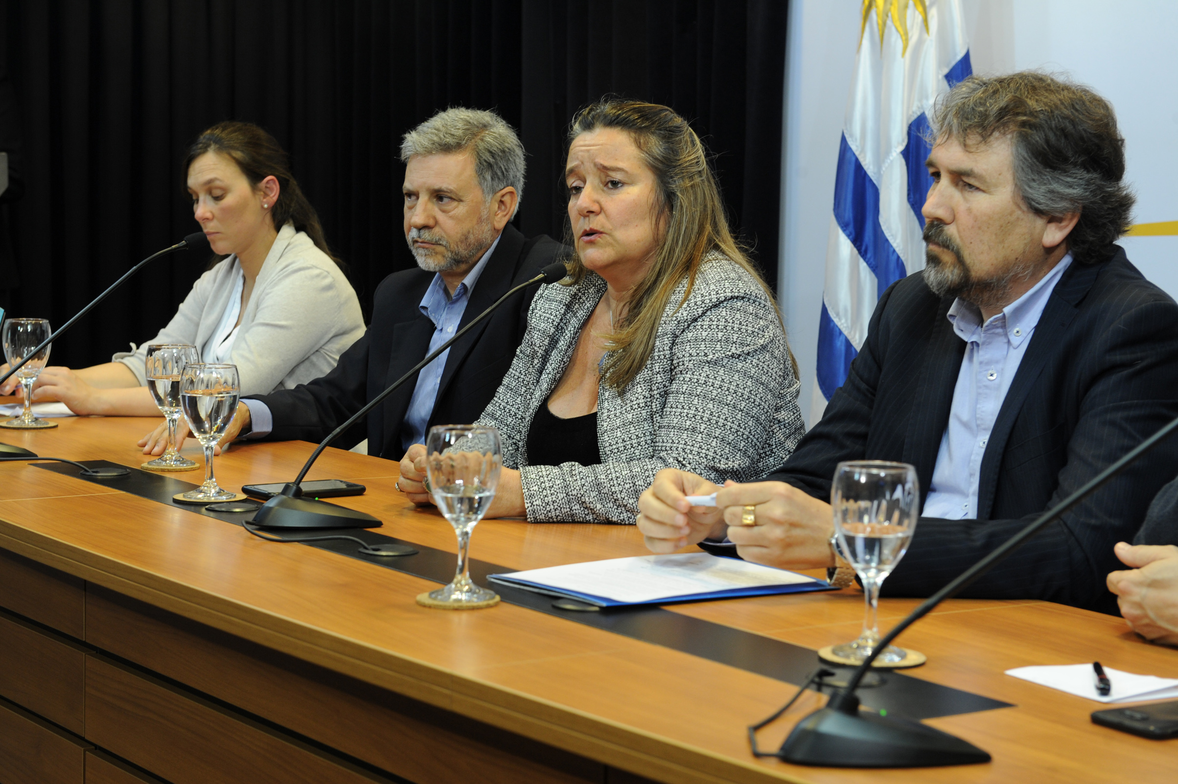 Presentación de visor geográfico de Colonización
