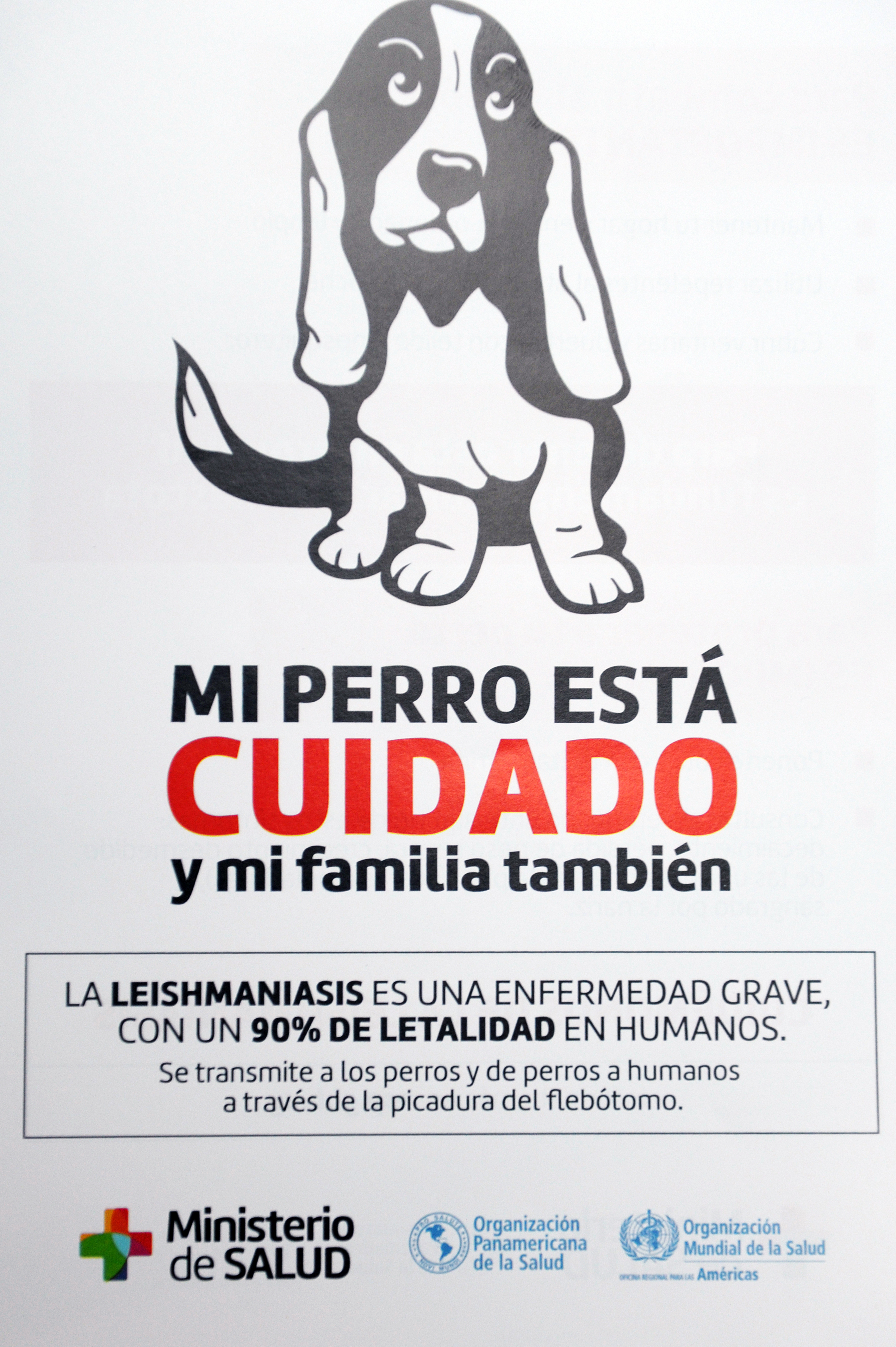 Afiche informativo sobre prevención de leishmaniasis