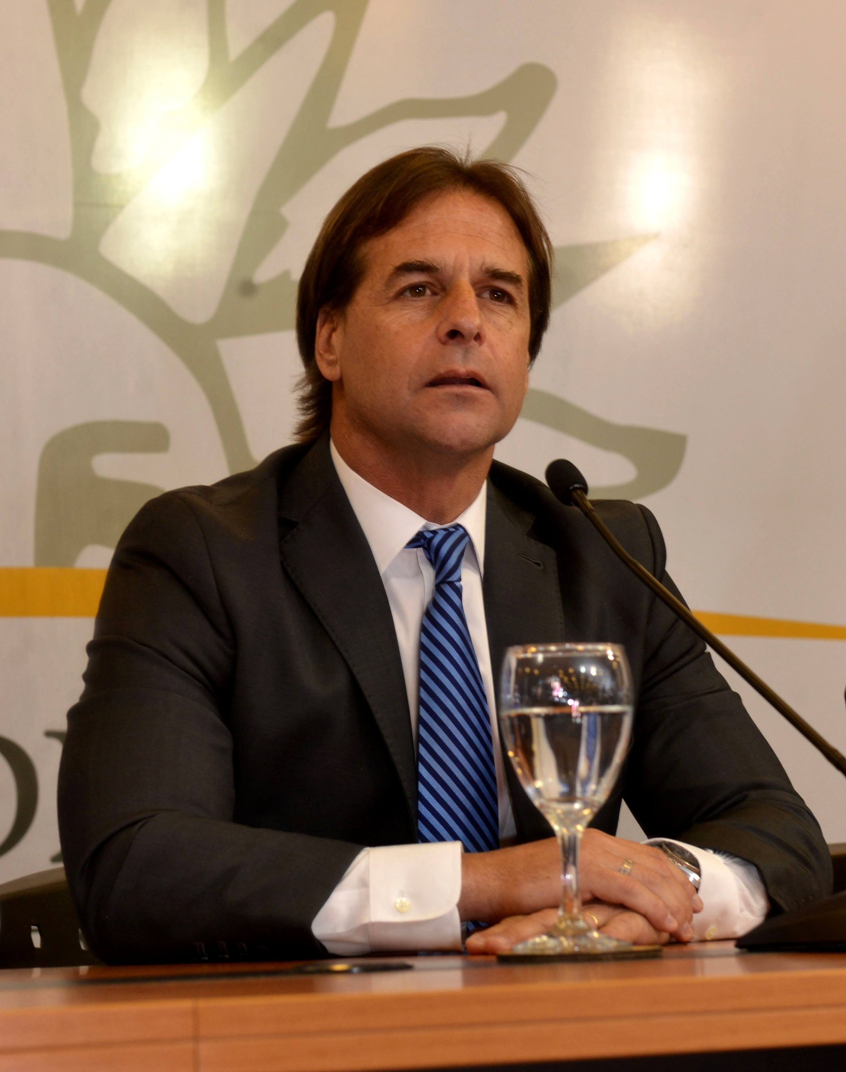 Presidente electo, Luis Lacalle Pou