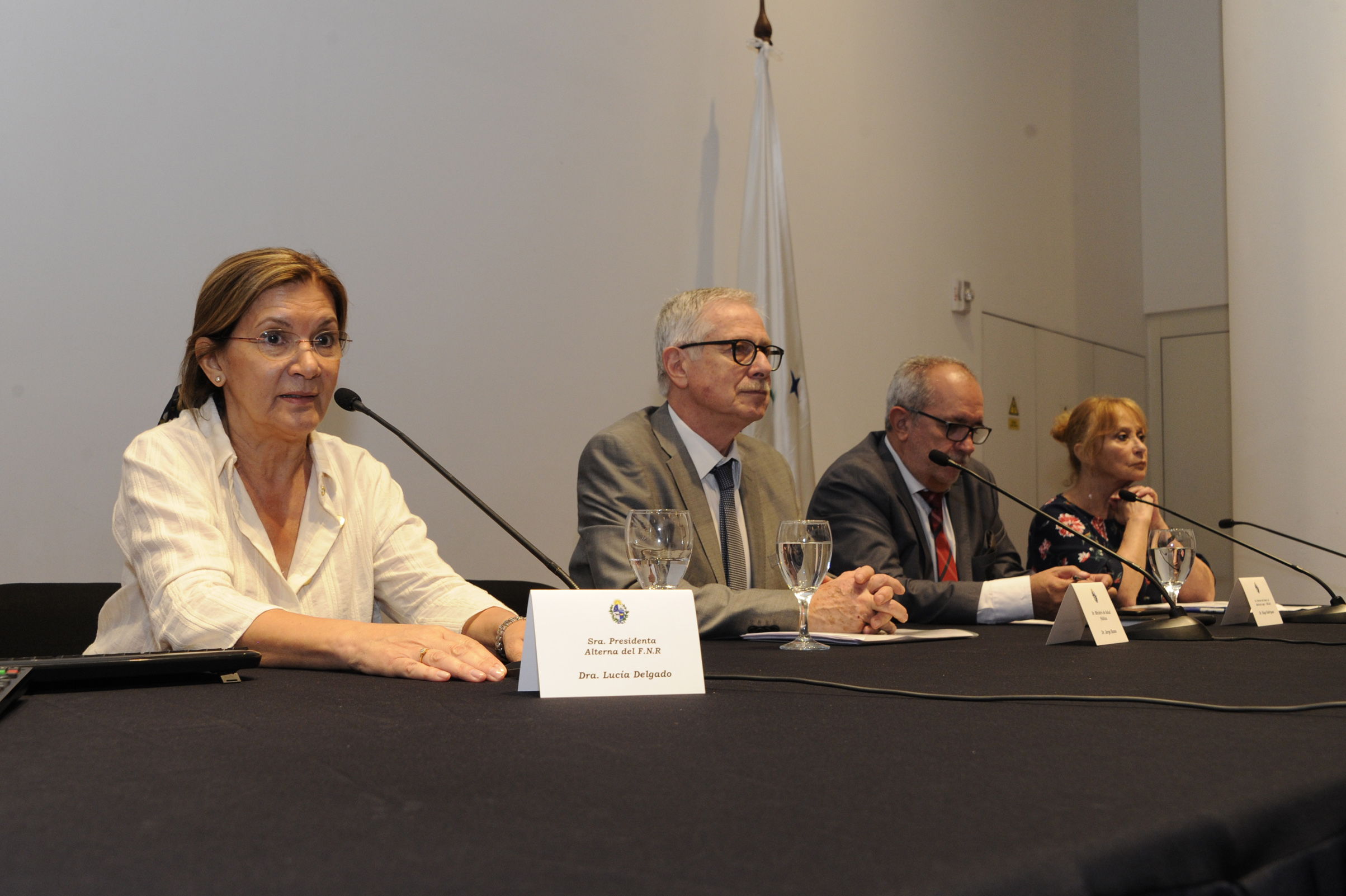 Lucía Delgado, del Fondo Nacional de Recursos, haciendo uso de la palabra