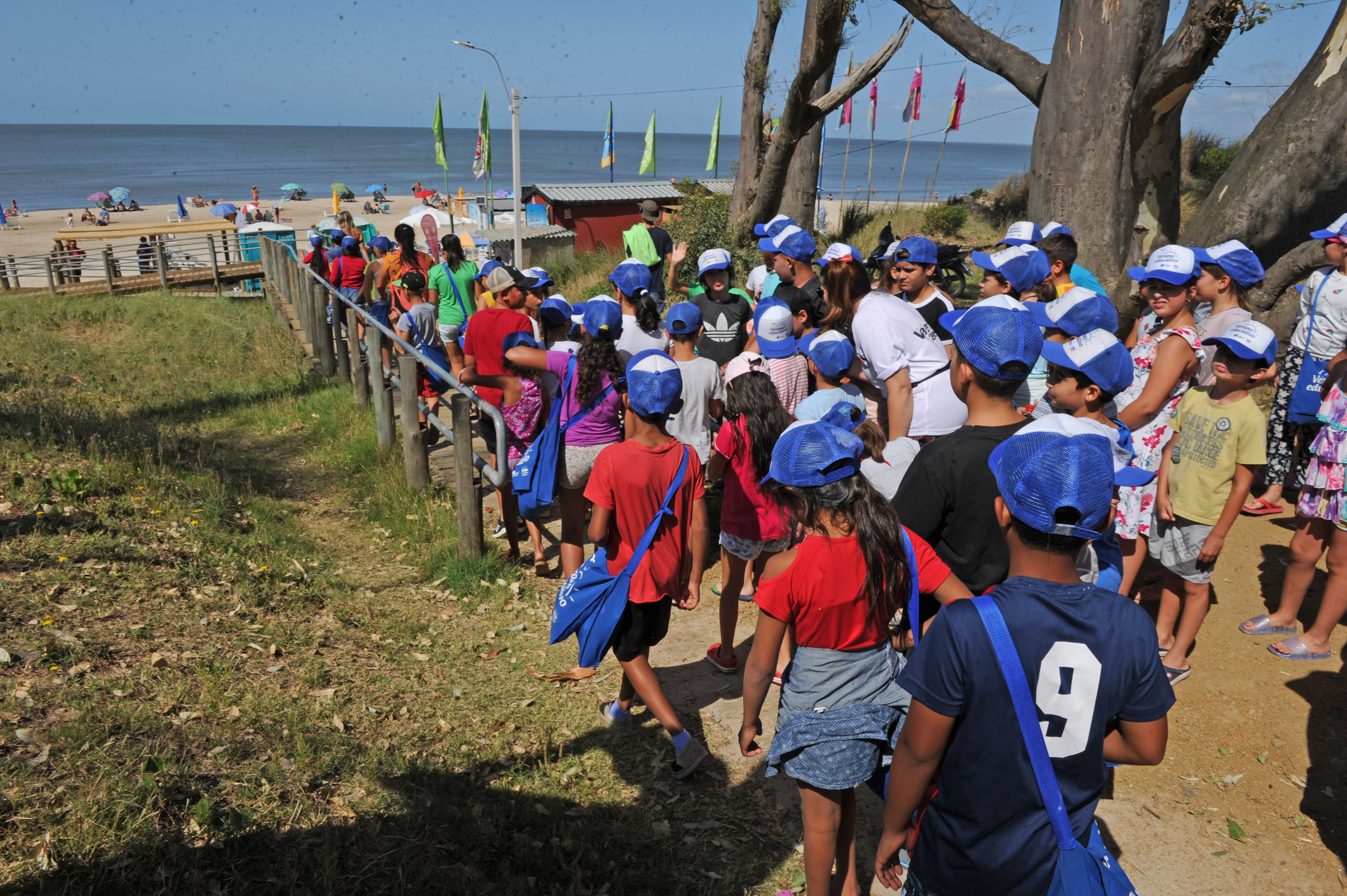 Actividades del programa Verano Educativo