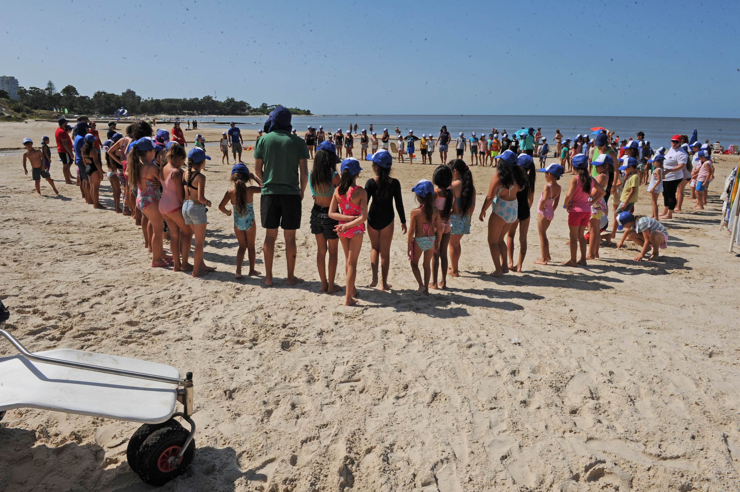Actividades del programa Verano Educativo