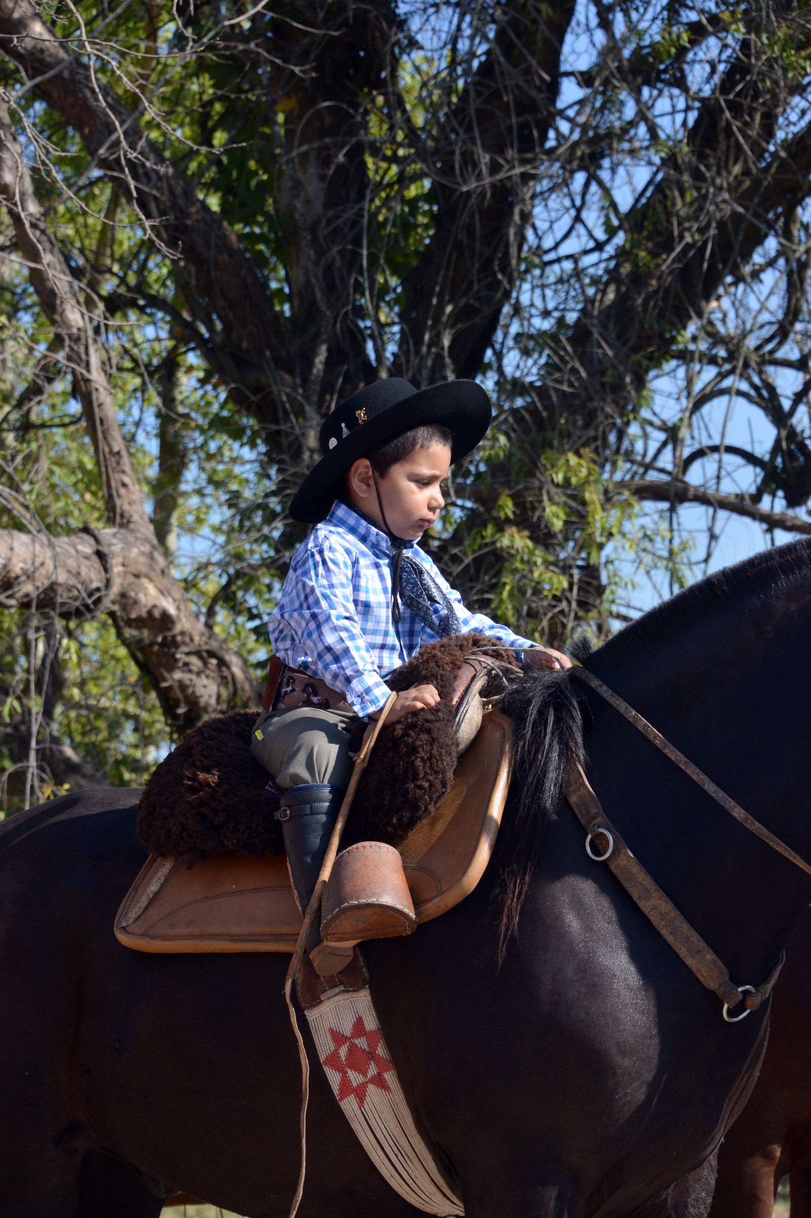 Desfile de Fiesta de la Patria Gaucha, Tacuarembó