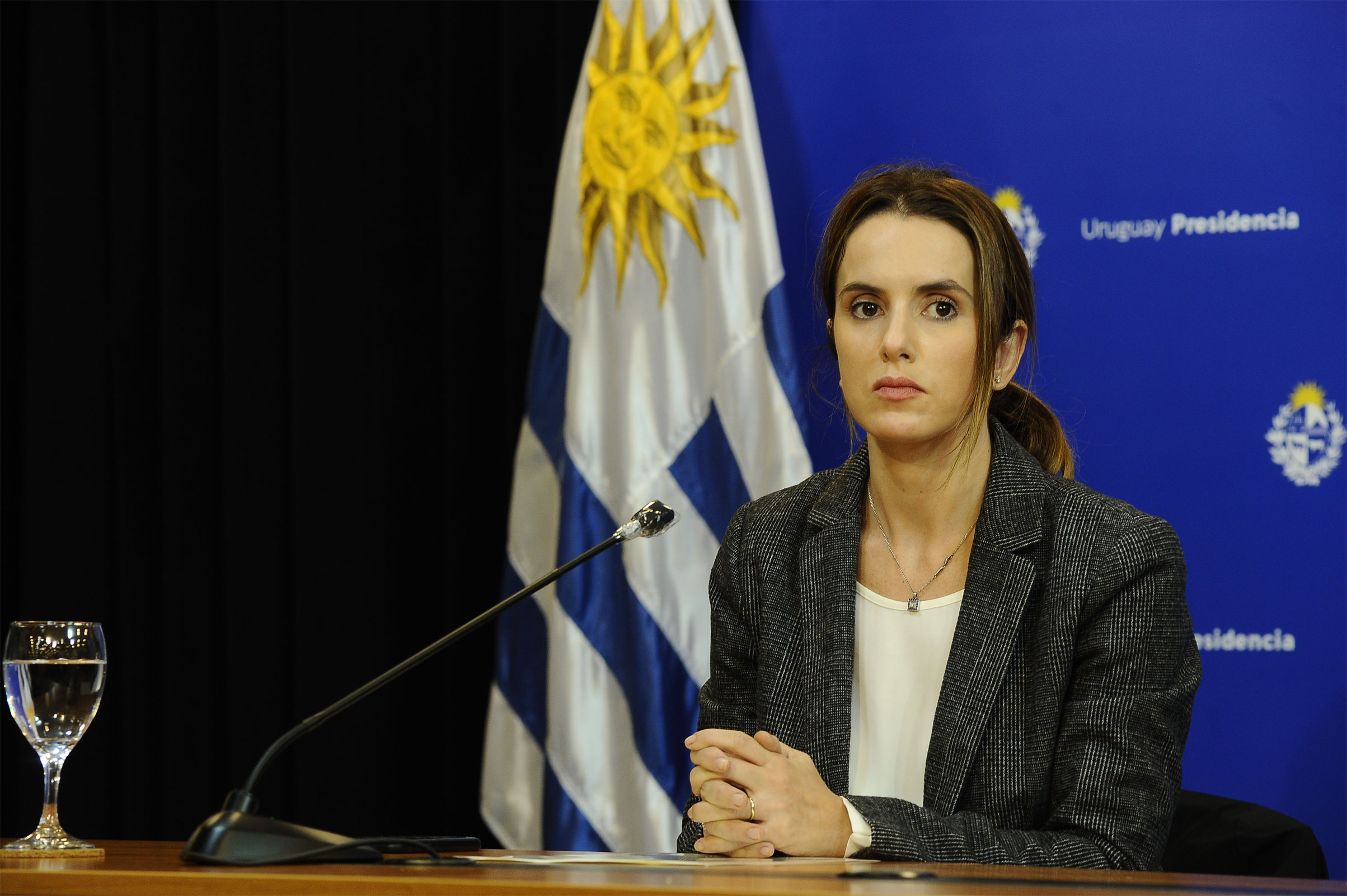 Subsecretaria de Relaciones Exteriores, Carolina Ache