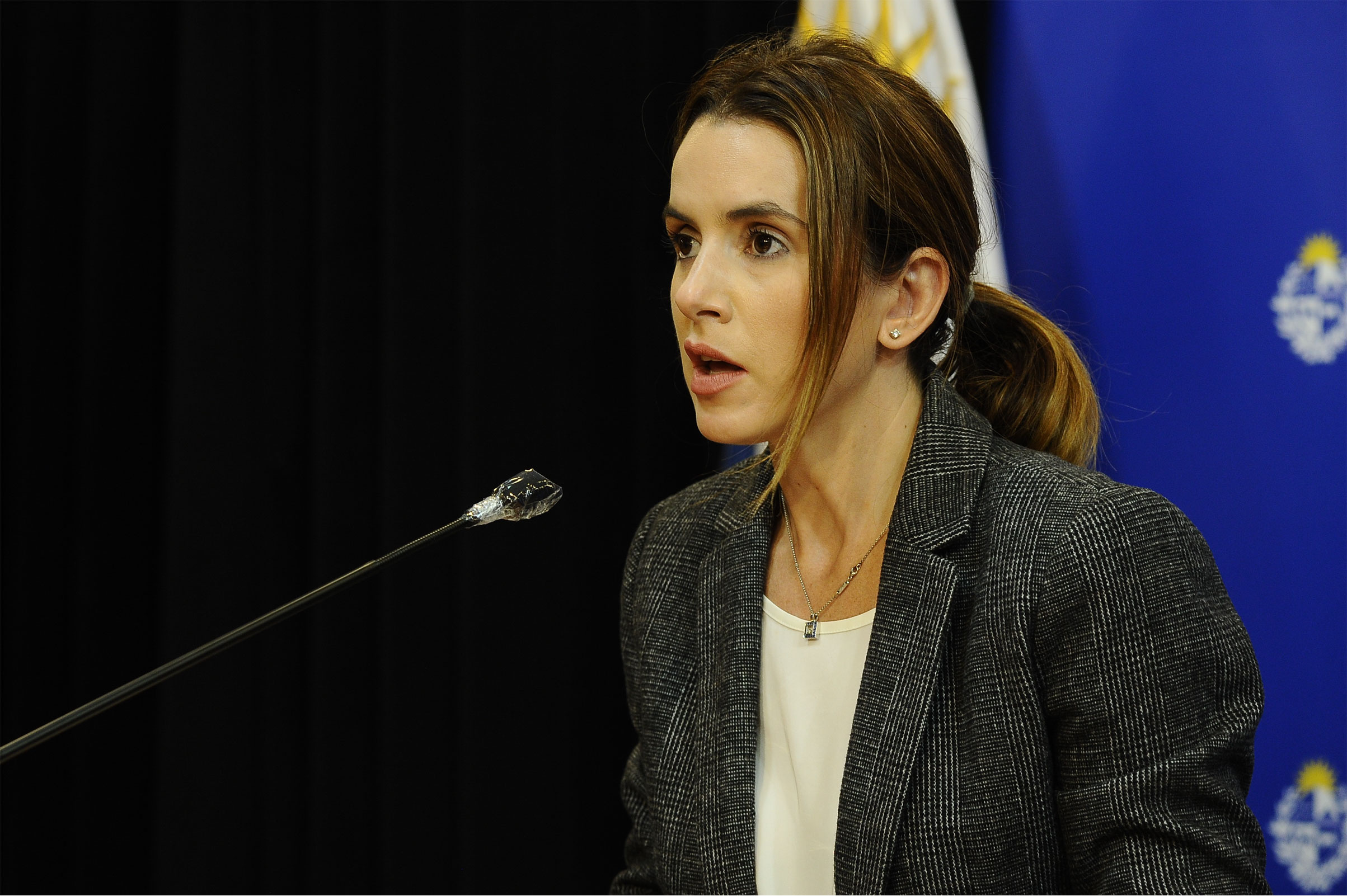 Subsecretaria de Relaciones Exteriores, Carolina Ache