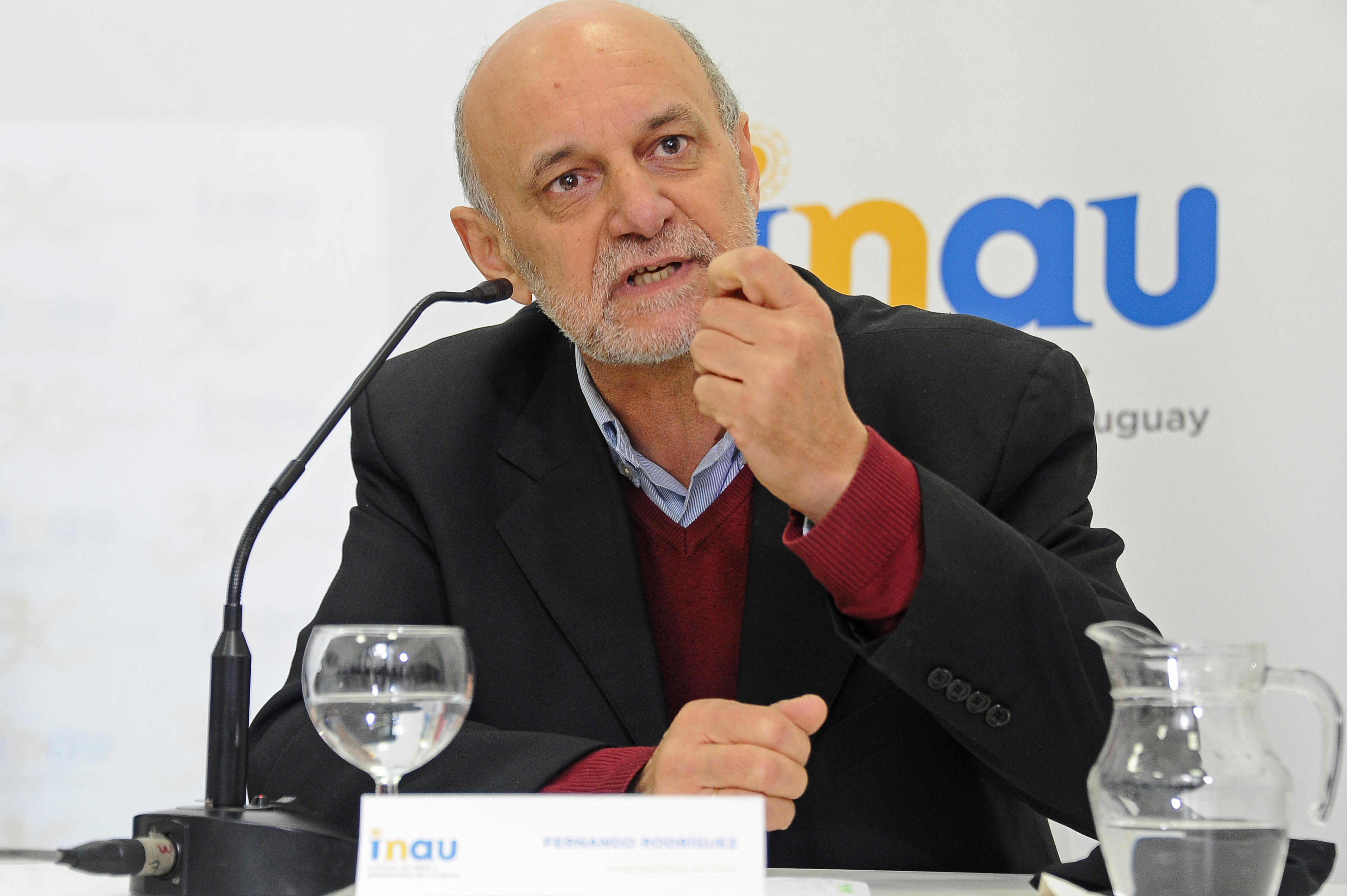 Vicepresidente de INAU, Fernando Rodríguez