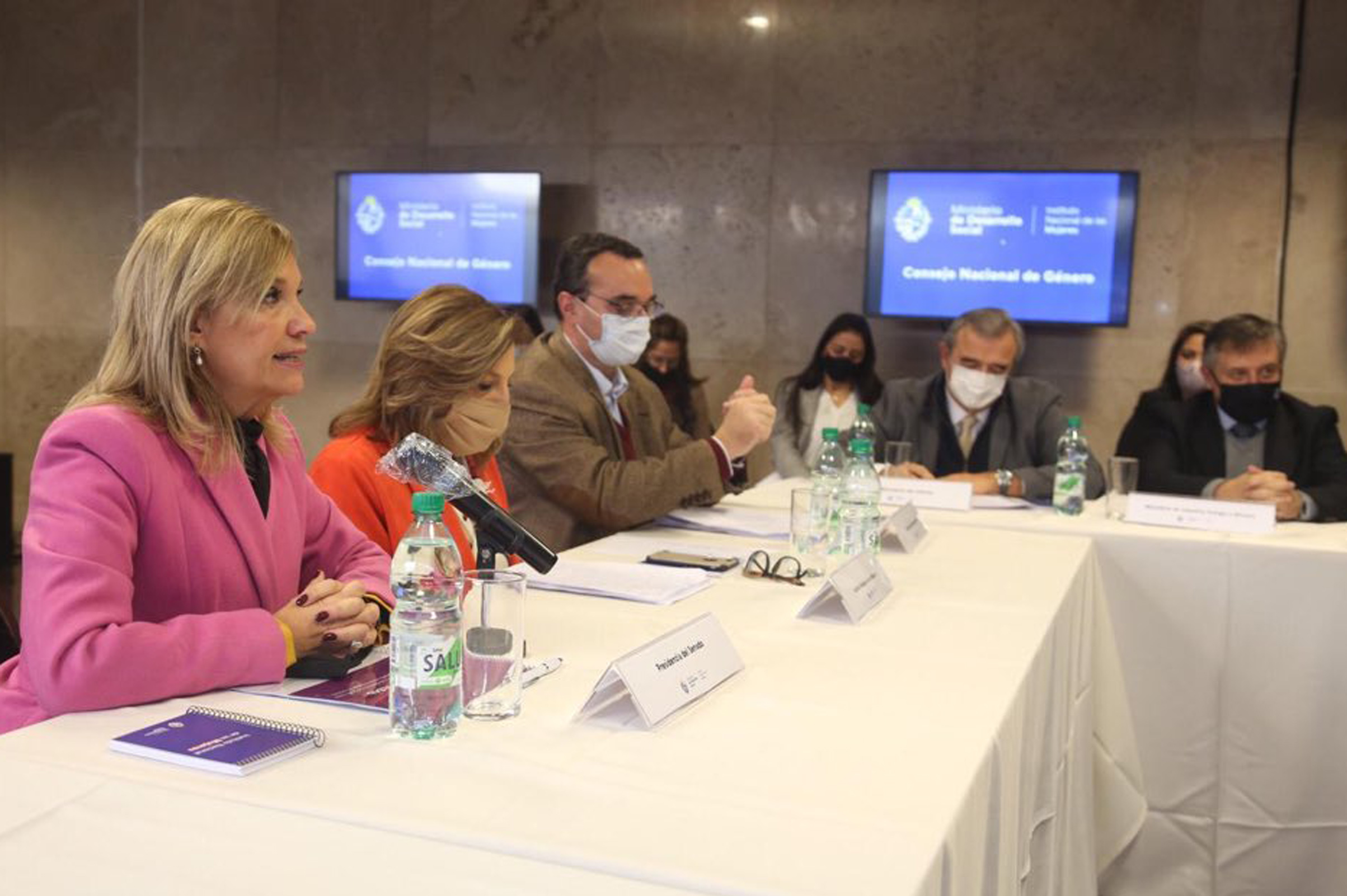 Vicepresidenta, Beatriz Argimón, encabezó primera reunión del Consejo Nacional de Género del Instituto Nacional de las Mujeres del período