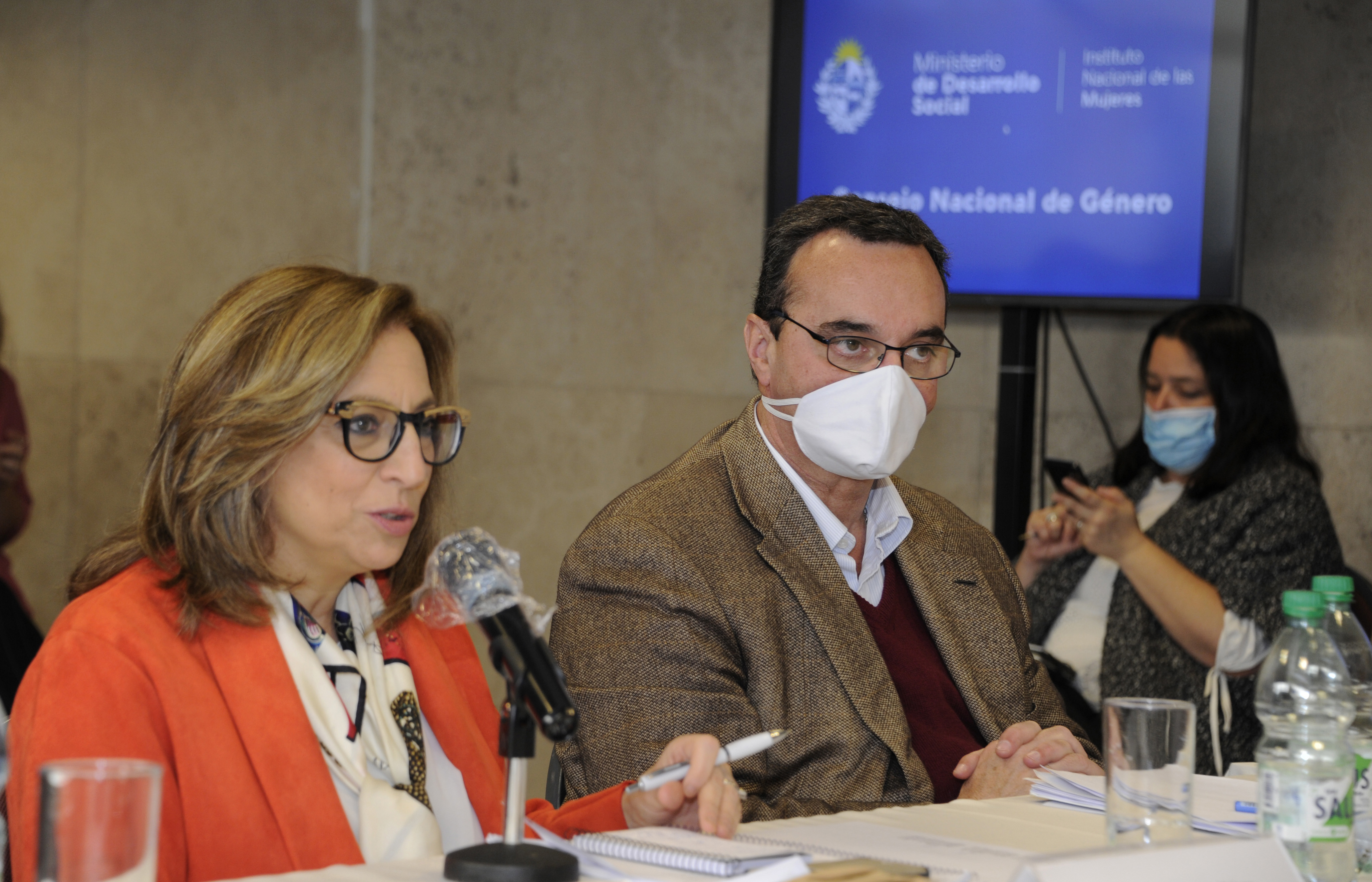 Primera reunión del Consejo Nacional de Género del Instituto Nacional de las Mujeres del período
