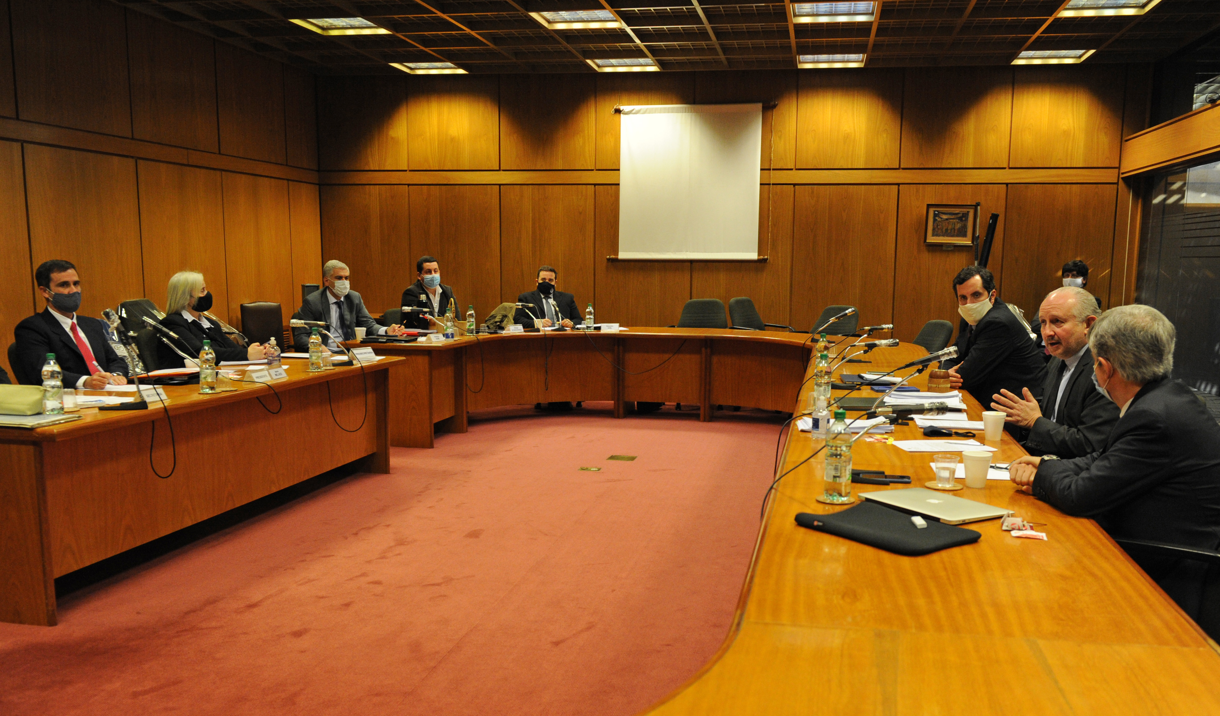 Ministro de Educación y Cultura, Pablo da Silveira, en Comisión de Ciencia, Tecnología e Innovación de la Cámara de Diputados