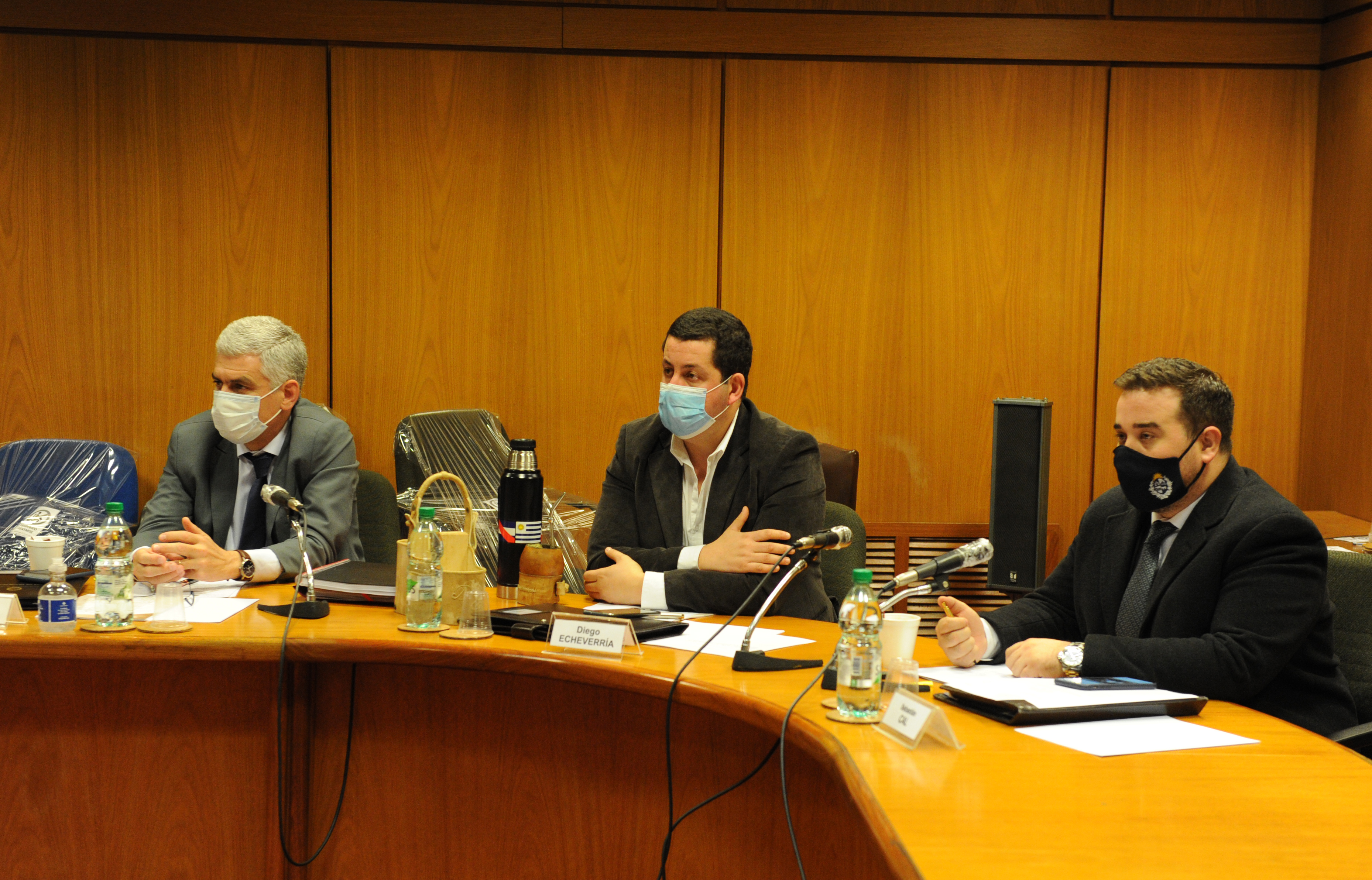 Ministro de Educación y Cultura, Pablo da Silveira, en Comisión de Ciencia, Tecnología e Innovación de la Cámara de Diputados
