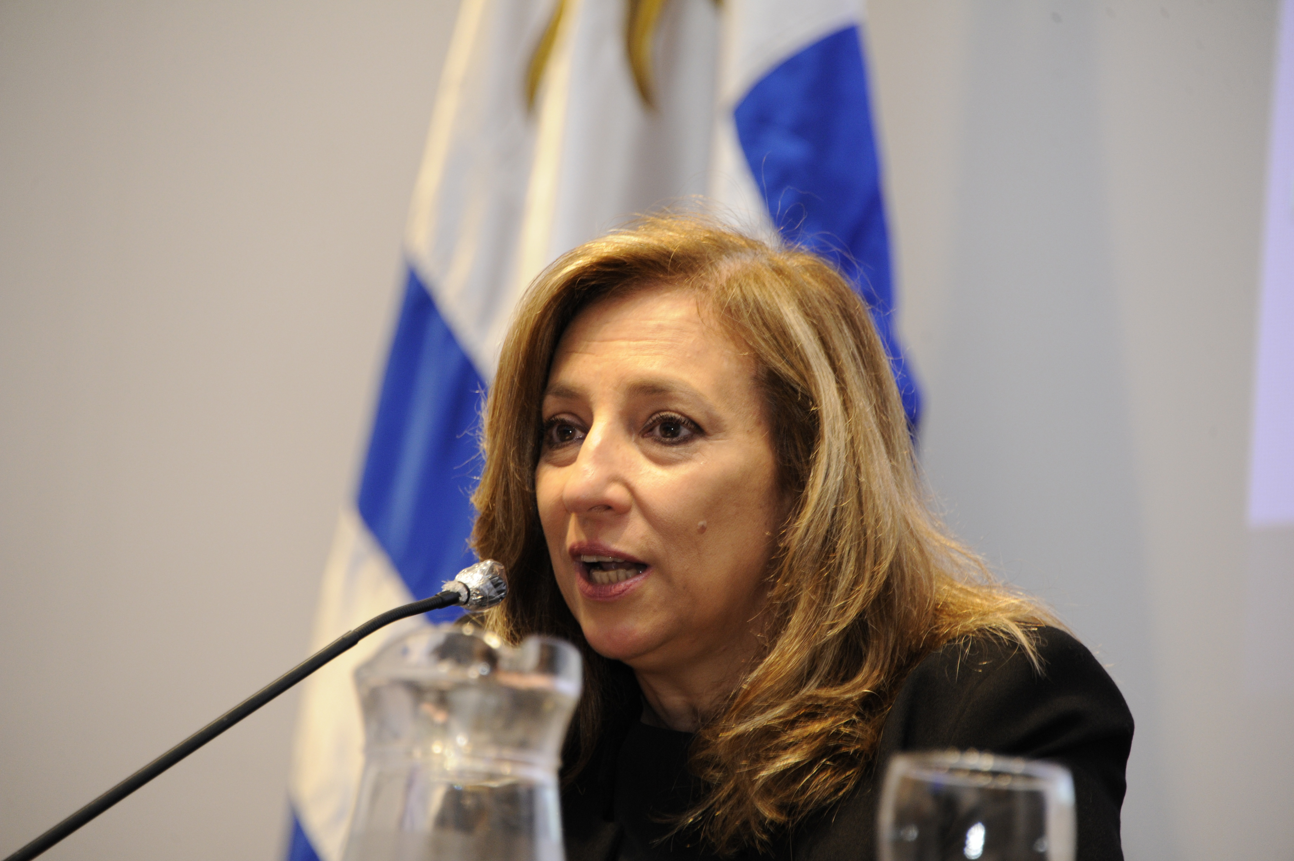 Directora del Instituto Nacional de las Mujeres, Mónica Bottero
