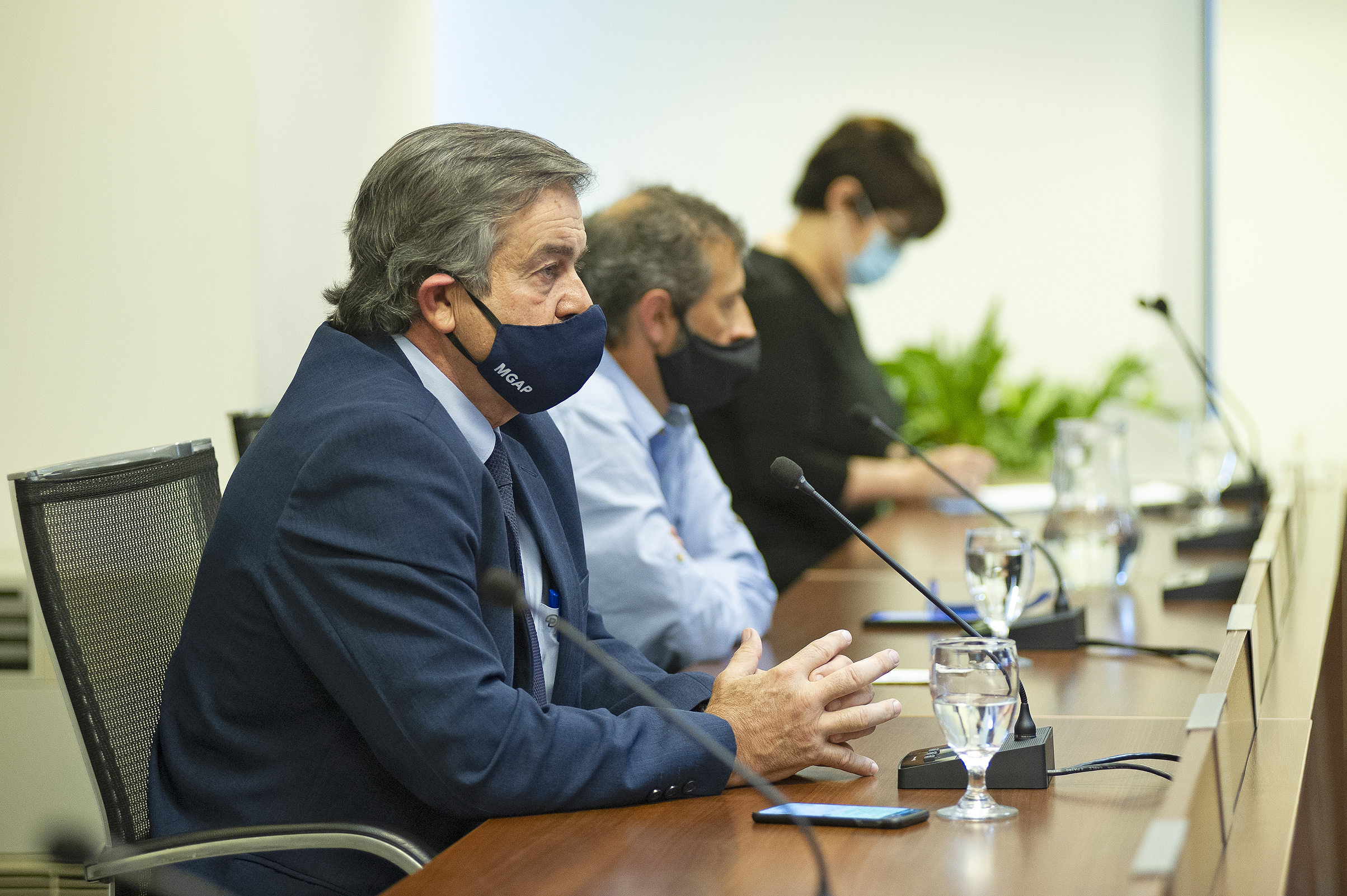 Ministro de Ganadería, Agricultura y Pesca, Carlos María Uriarte, encabezó la videoconferencia