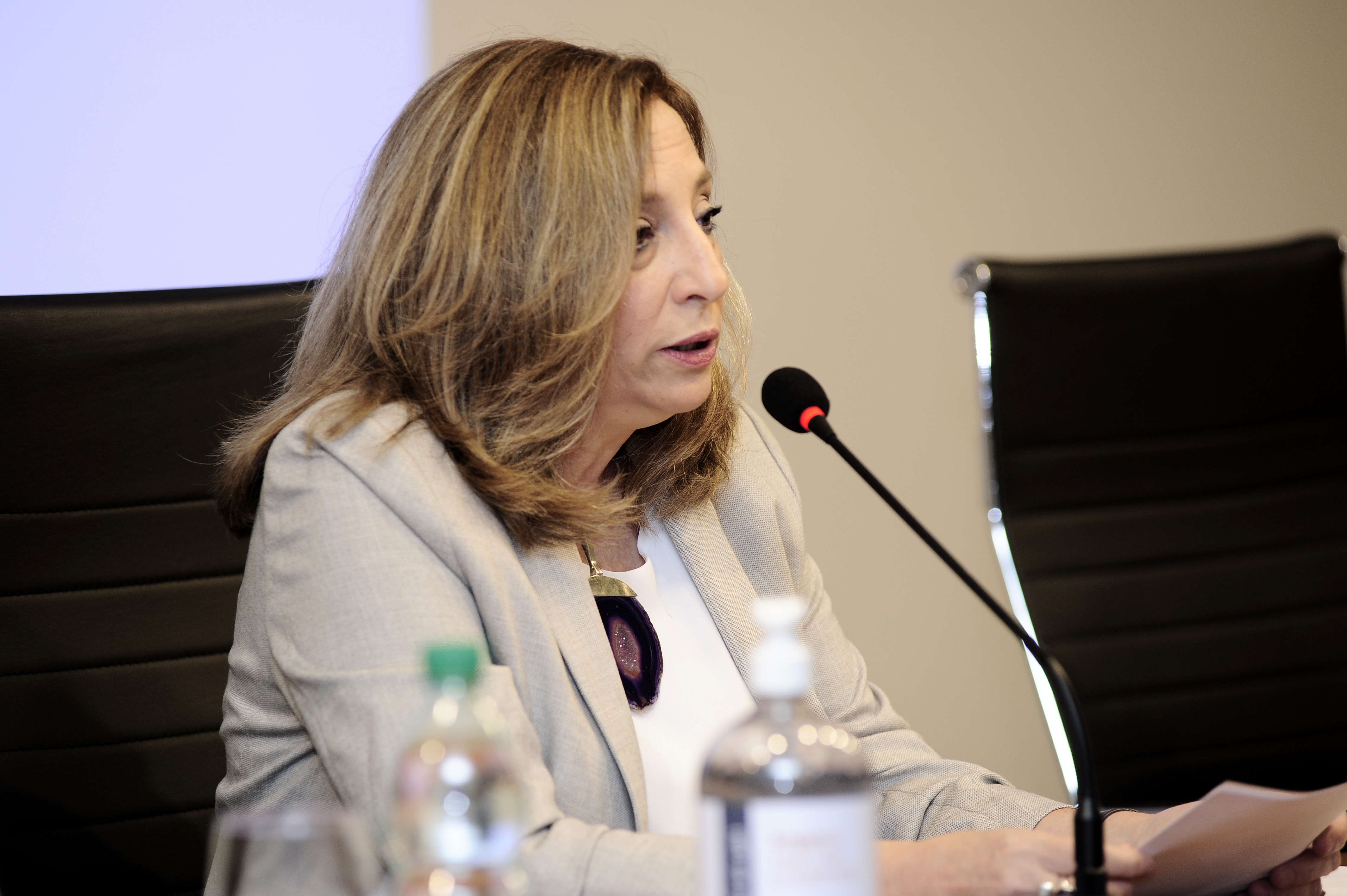 Directora del Instituto Nacional de las Mujeres, Mónica Bottero