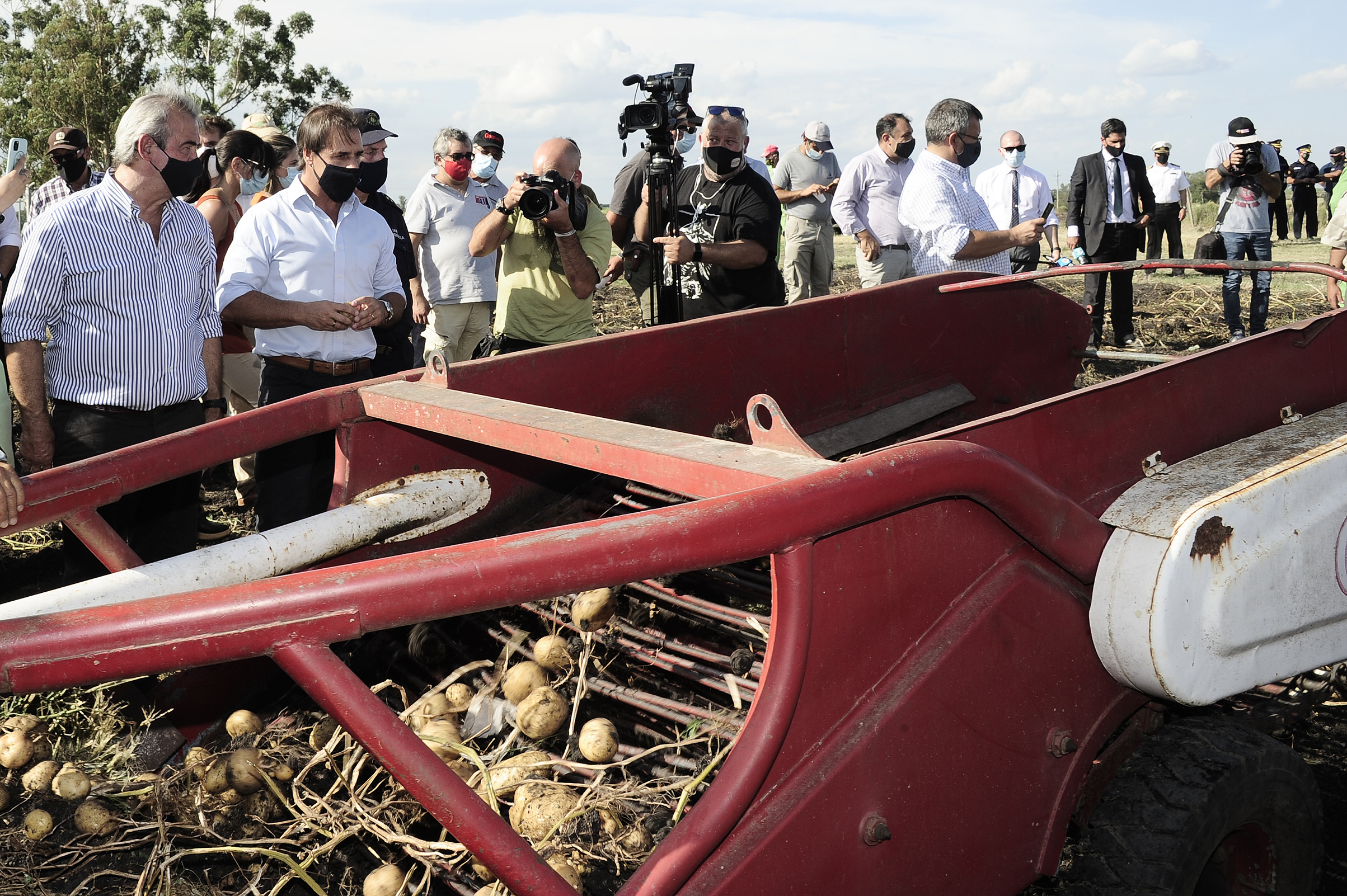Presidente Luis Lacalle Pou participó de la cosecha de papas en el Penal de Libertad