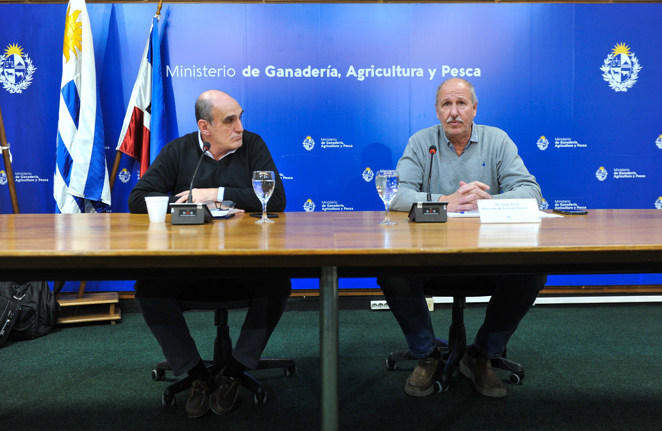 Imágenes del lanzamiento de una nueva etapa de vacunación contra la fiebre aftosa a bovinos.