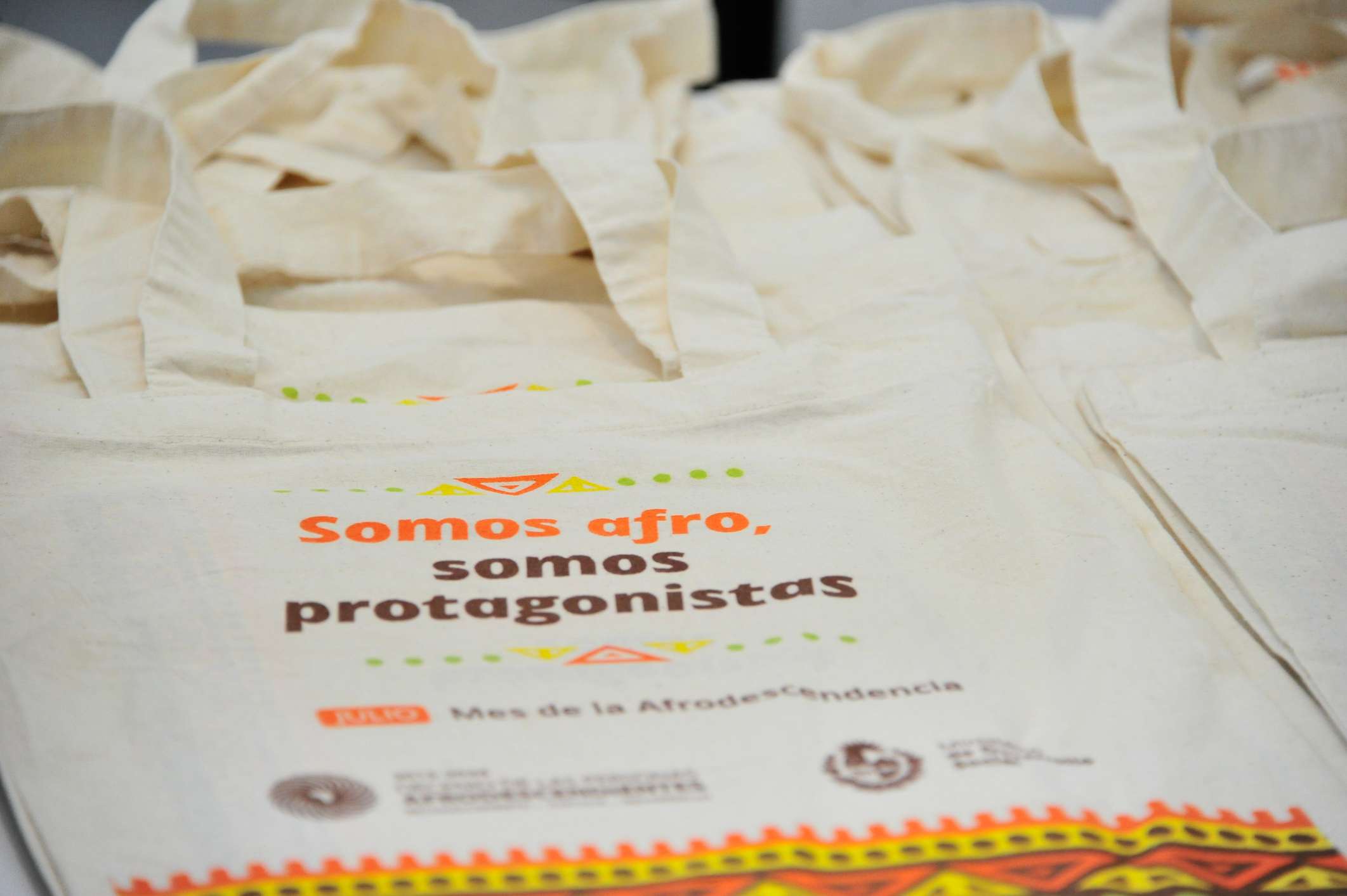 Presentación de guía para aplicar cupo laboral de afrodescendientes en ámbito público