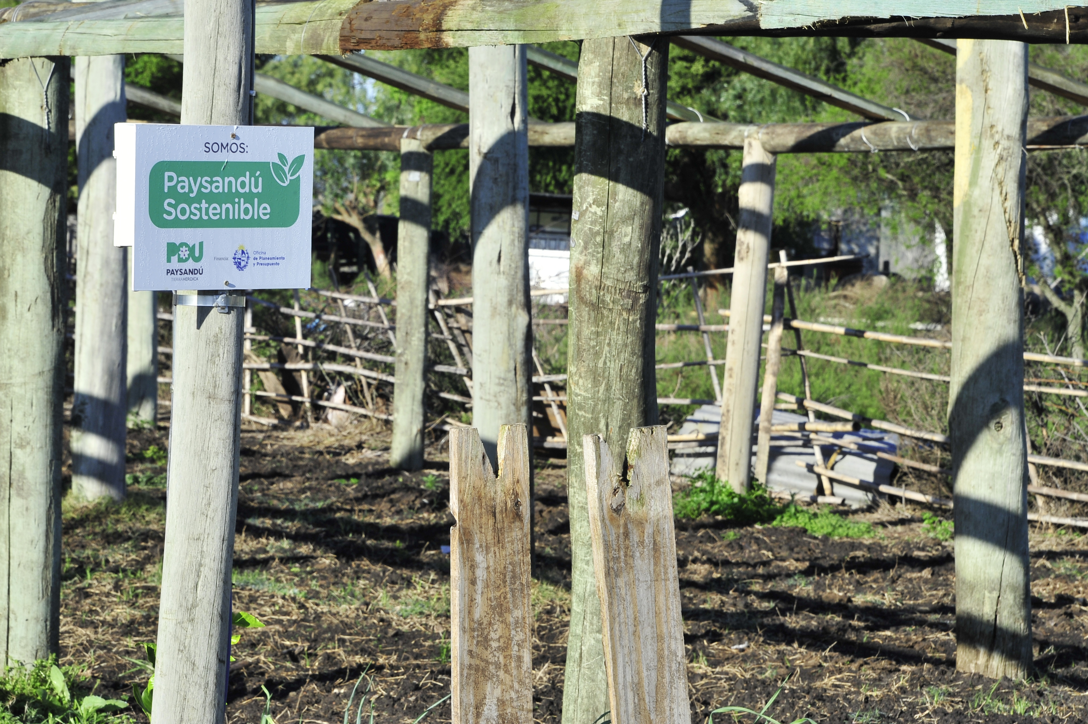 Productores de Paysandú reciben apoyo del Gobierno para optimizar calidad de producción