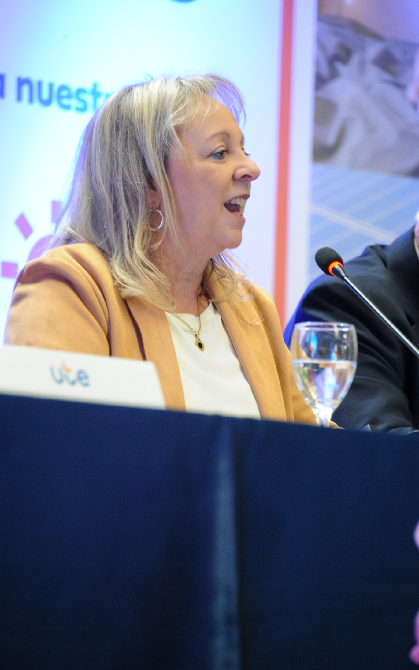 UTE invertirá en 2023 unos 13.600 millones de pesos para mejoras del servicio.