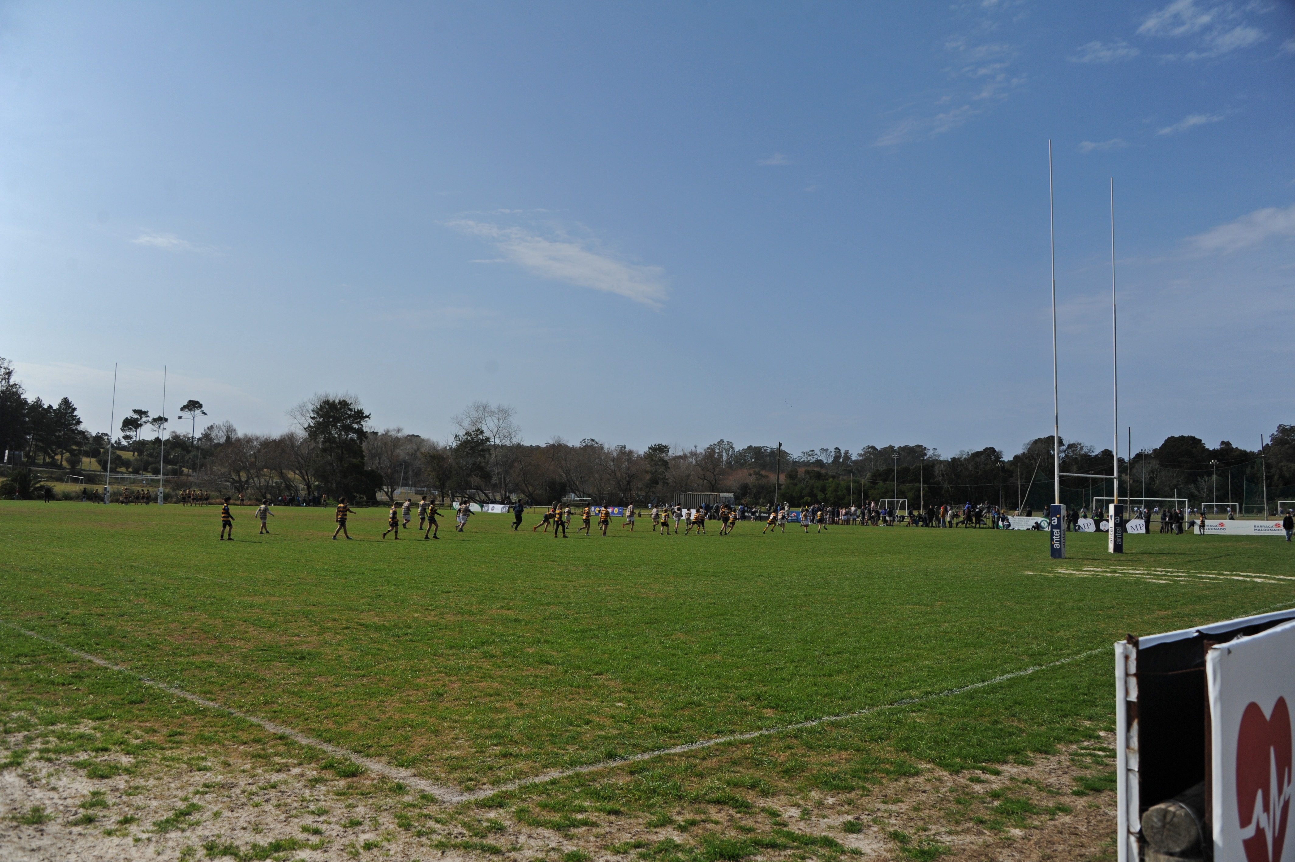 Presidente Lacalle Pou en el partido de rugby entre Fénix y Espartanos