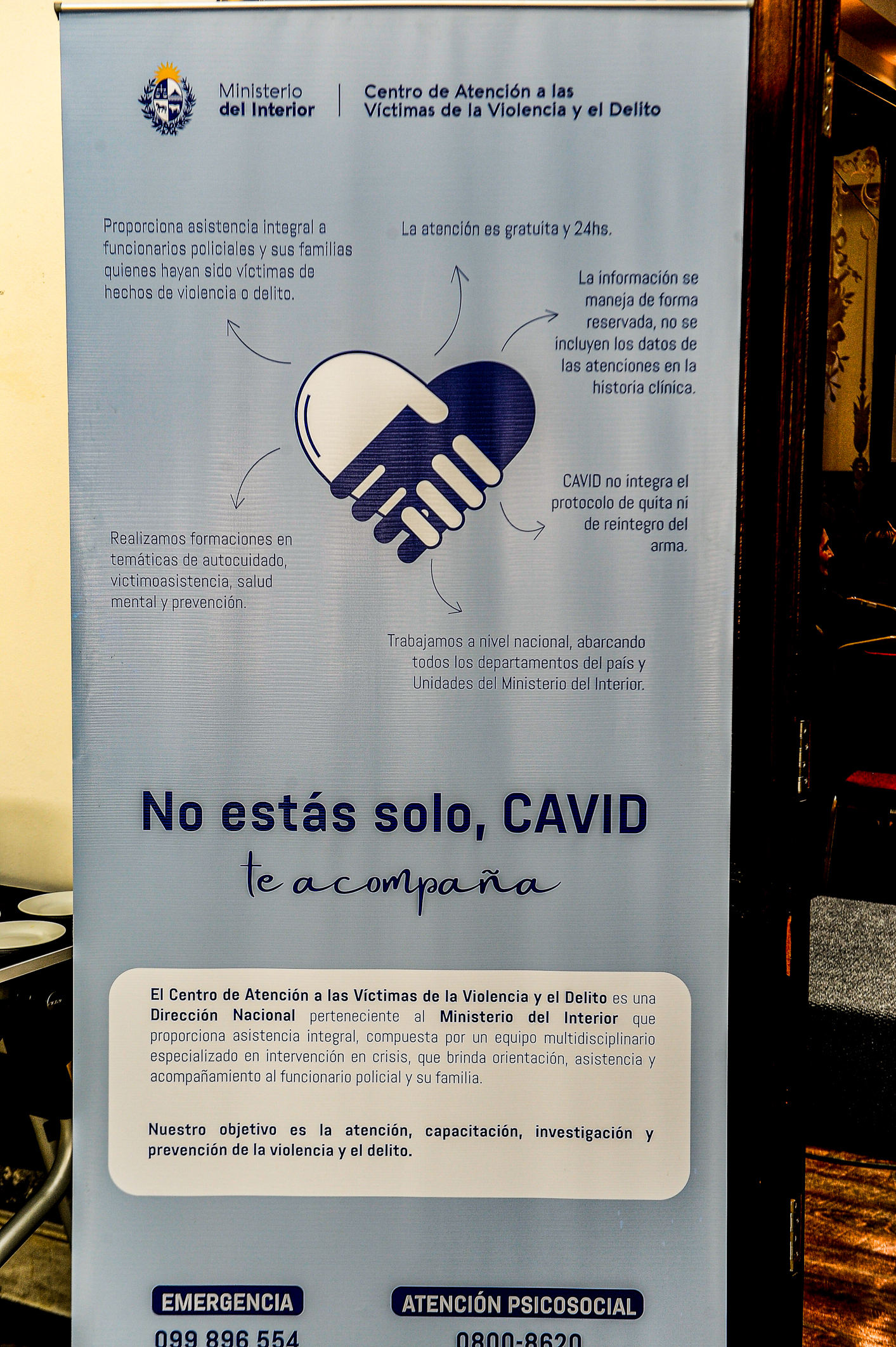 Presentación de rendición anual de Cavid