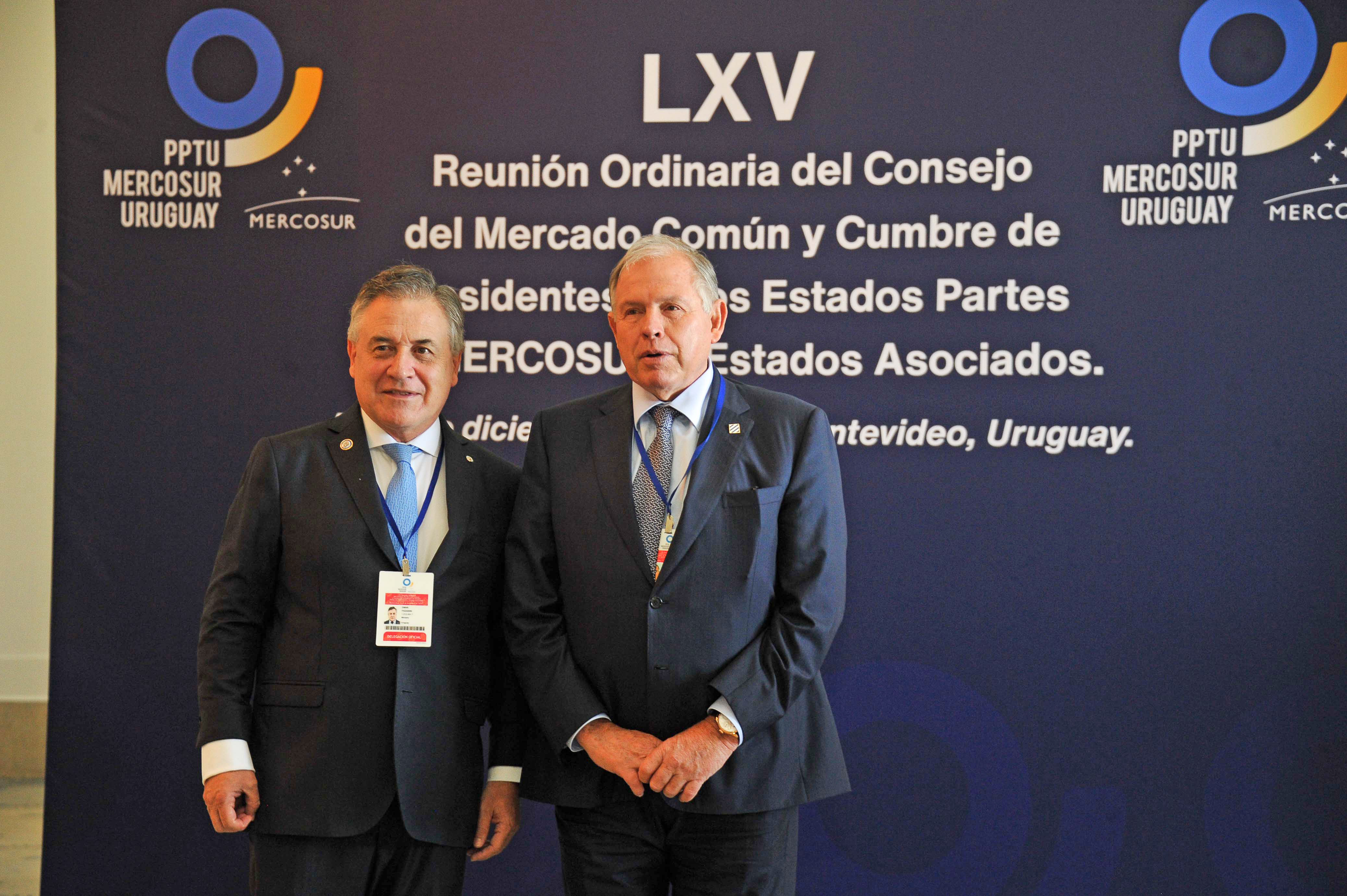 LXV Reunión Ordinaria del Consejo del Mercado Común
